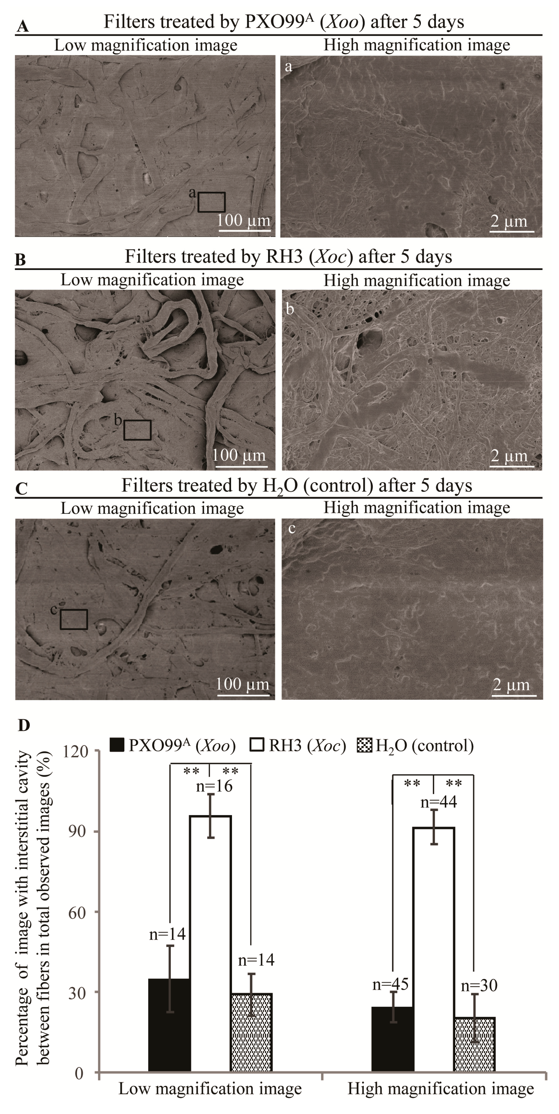 Pathogens 09 00187 g004 Pathogens 09 00187 g004
