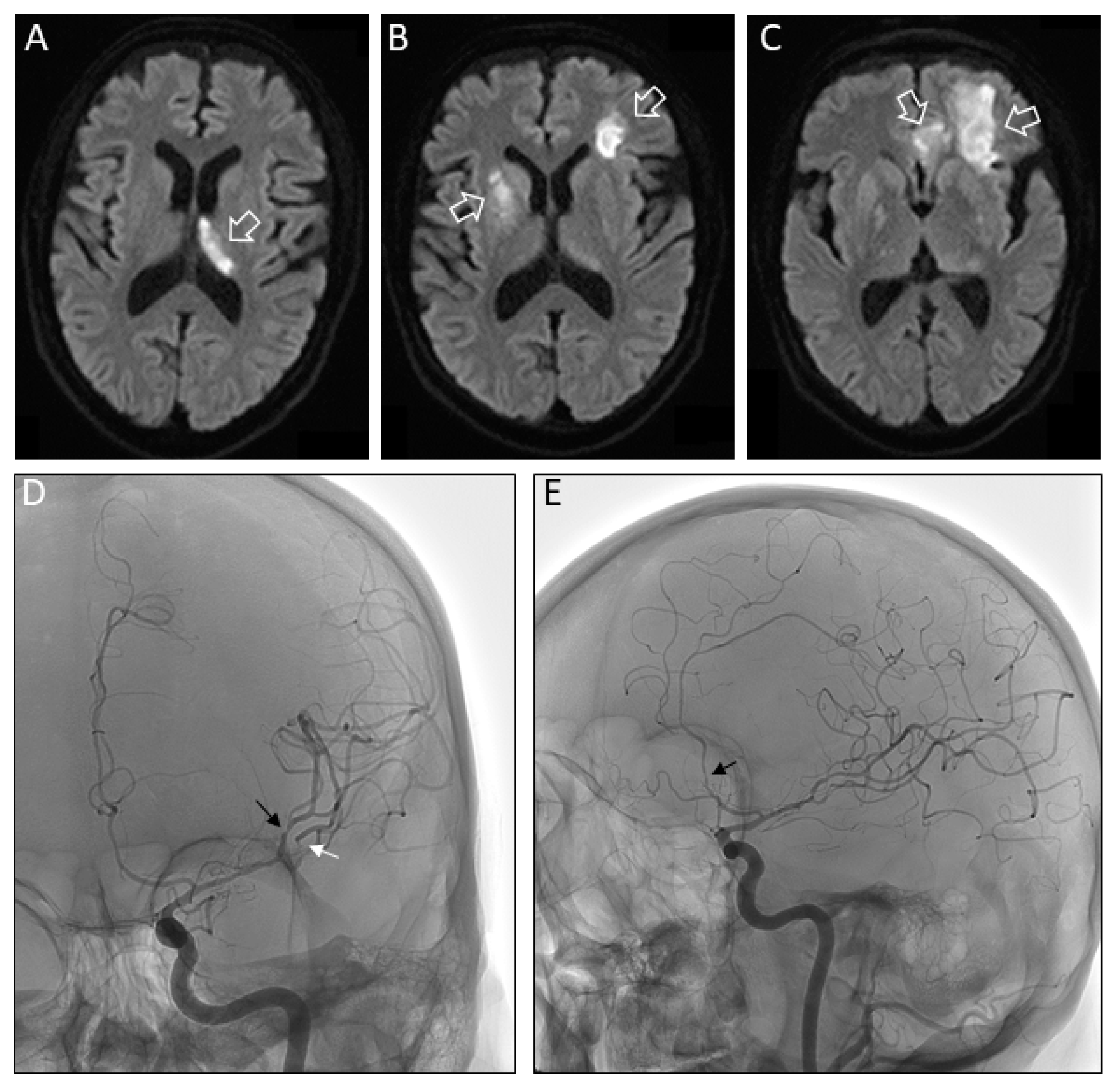 Pathogens 09 00193 g002 Pathogens 09 00193 g002
