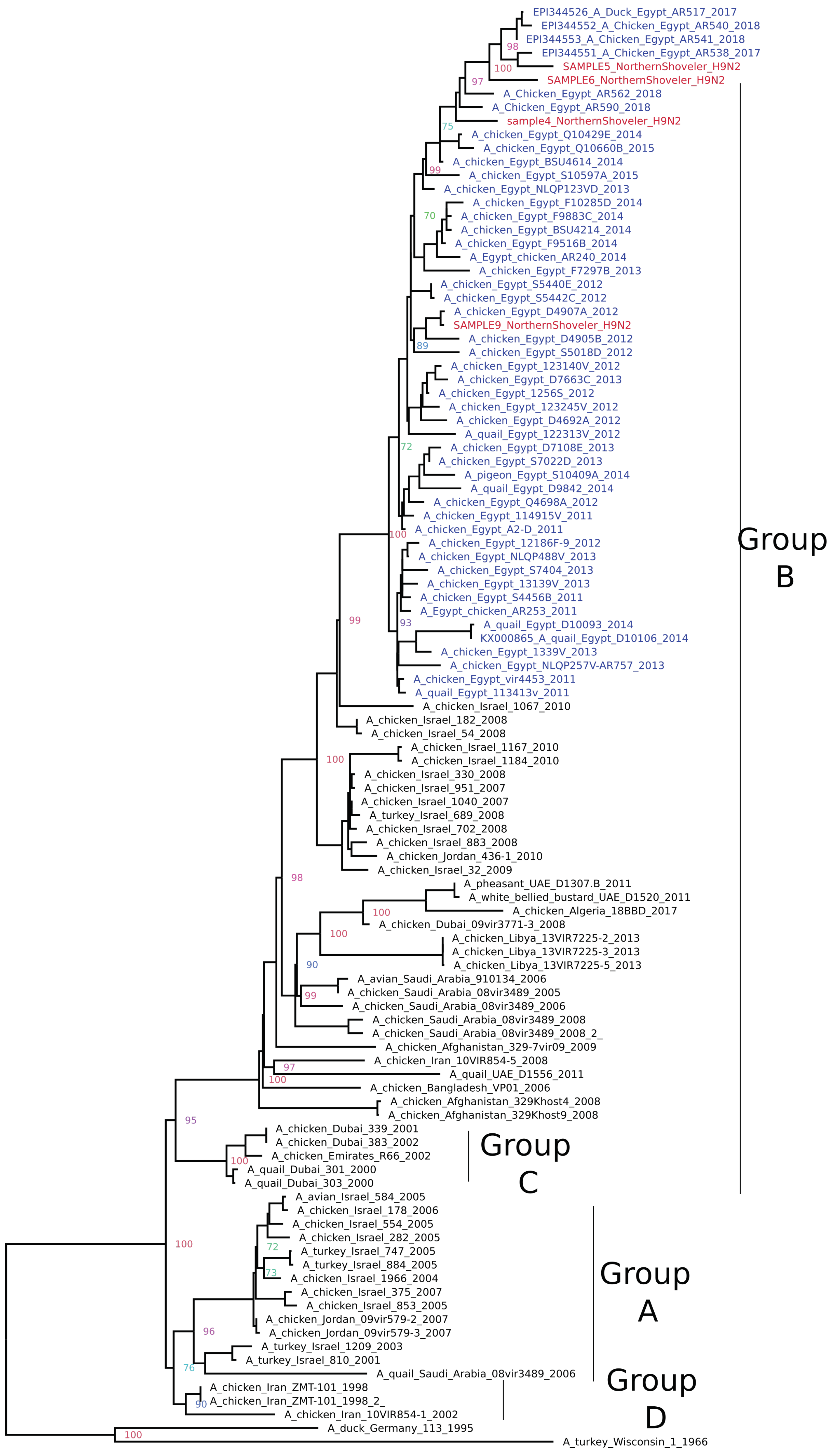 Pathogens 09 00196 g002 Pathogens 09 00196 g002