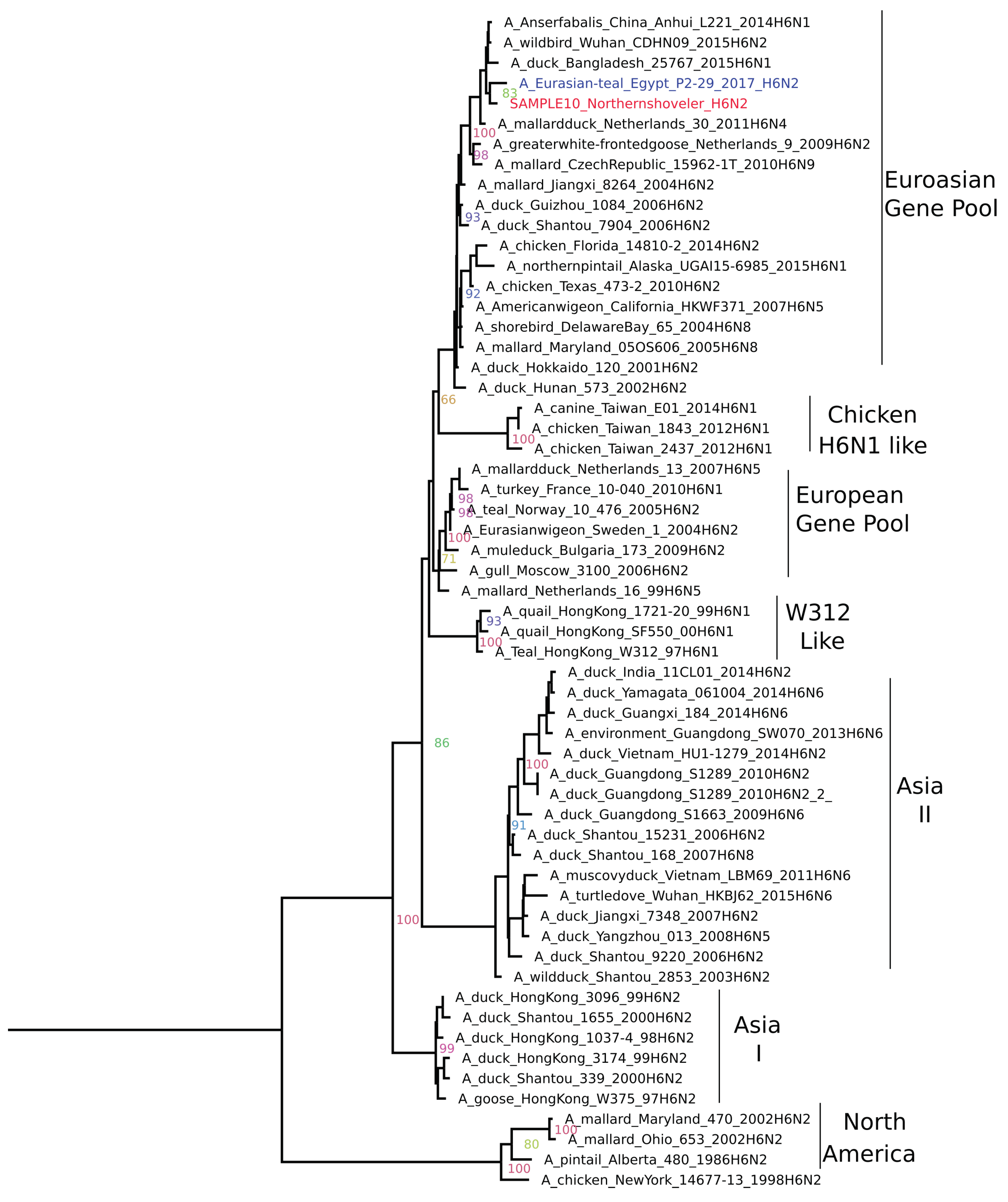 Pathogens 09 00196 g003 Pathogens 09 00196 g003