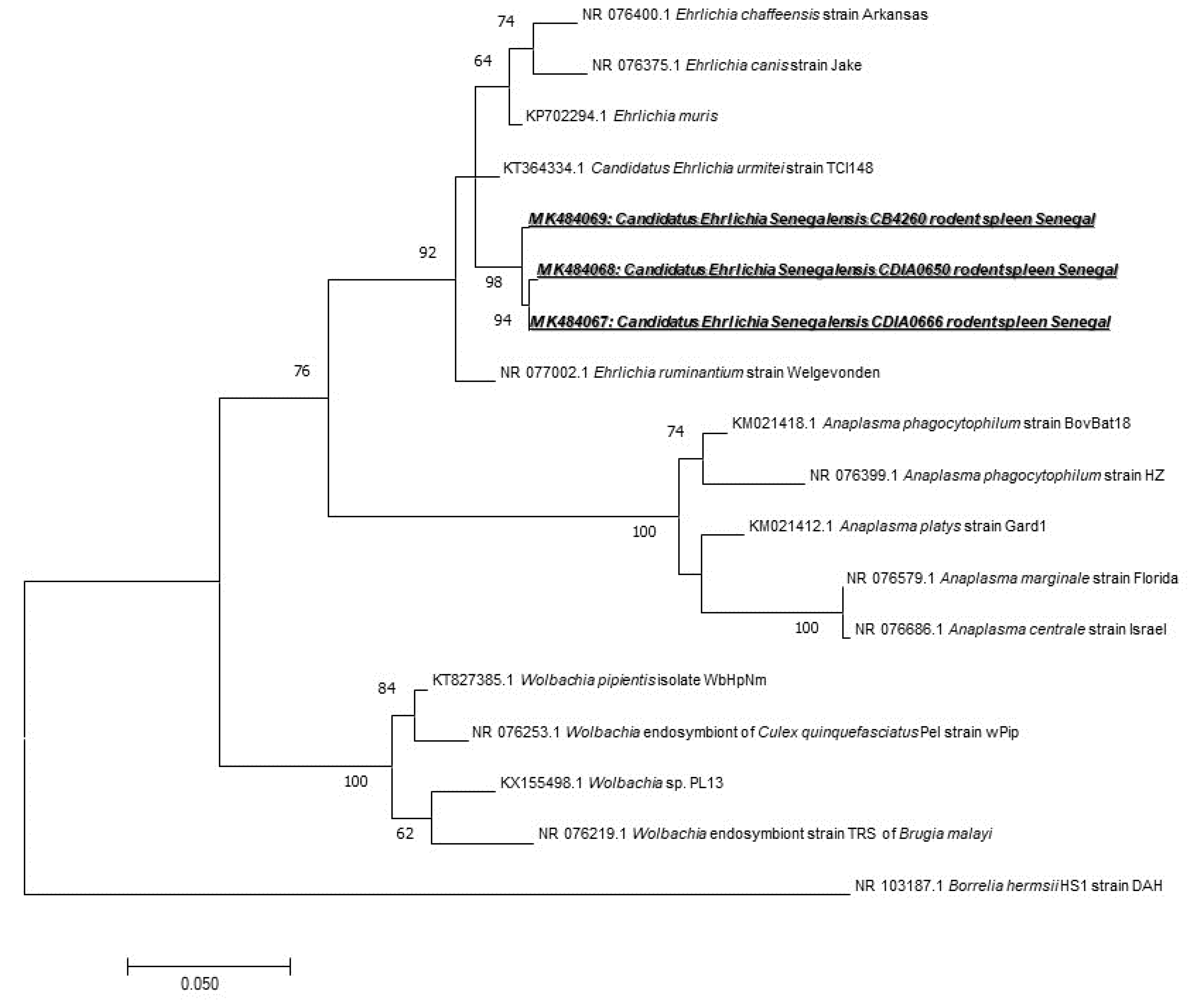 Pathogens 09 00202 g003 Pathogens 09 00202 g003