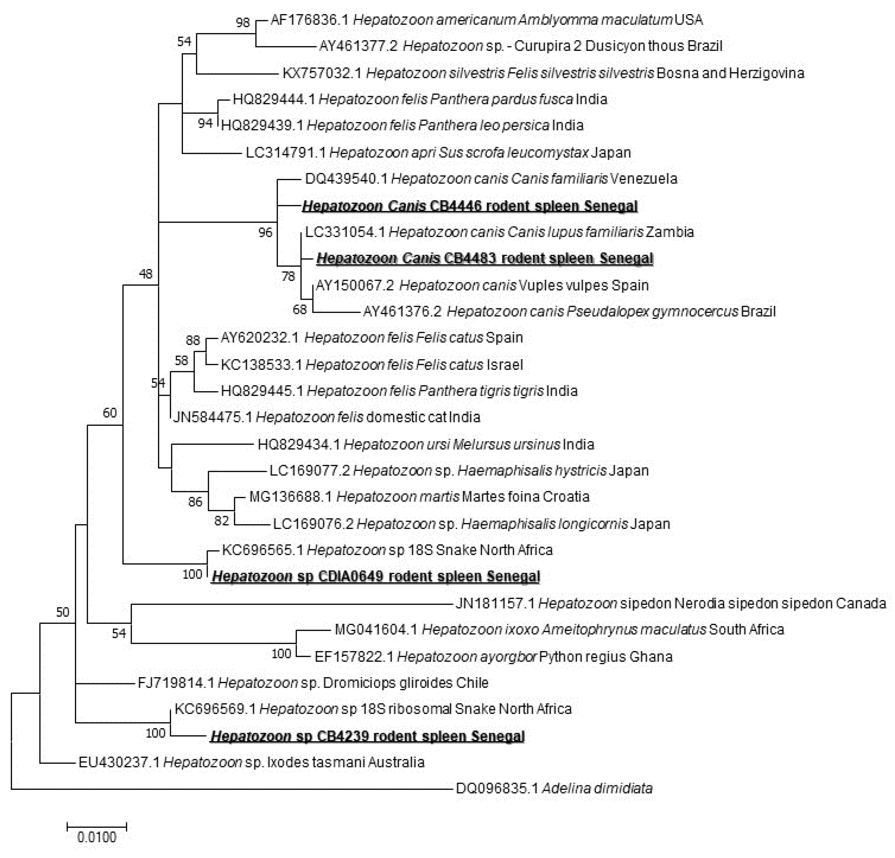 Pathogens 09 00202 g004 Pathogens 09 00202 g004