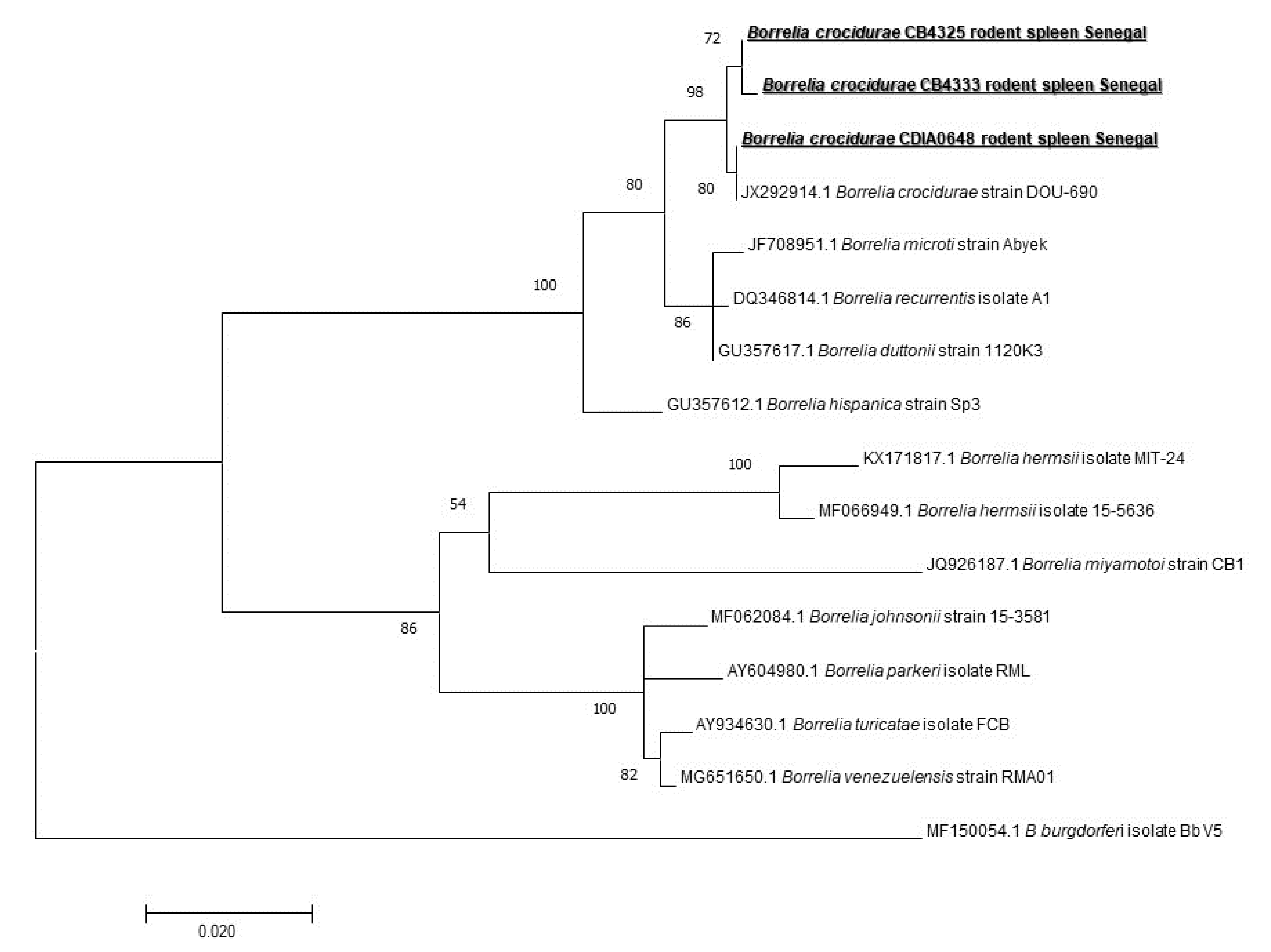 Pathogens 09 00202 g005 Pathogens 09 00202 g005