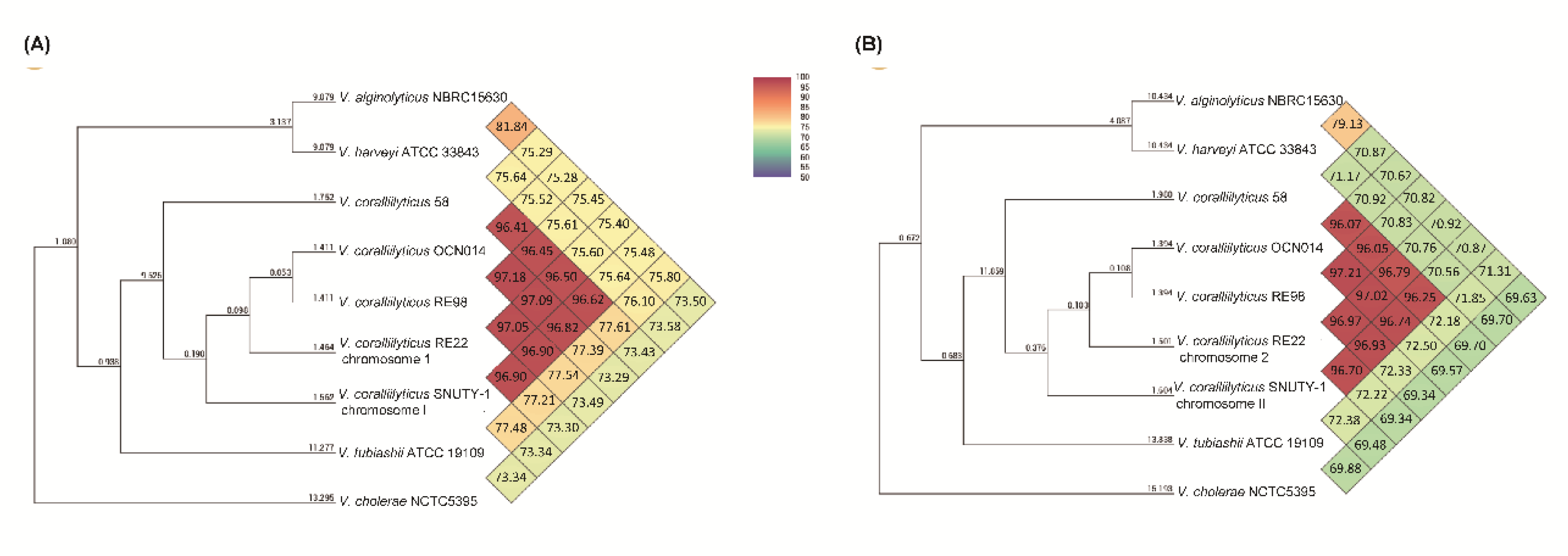 Pathogens 09 00206 g002
