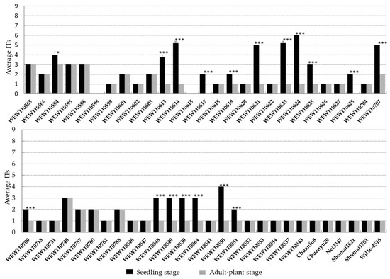 JuN Distribution and Nucleotide Diversity of Yr15 in Wild Emmer