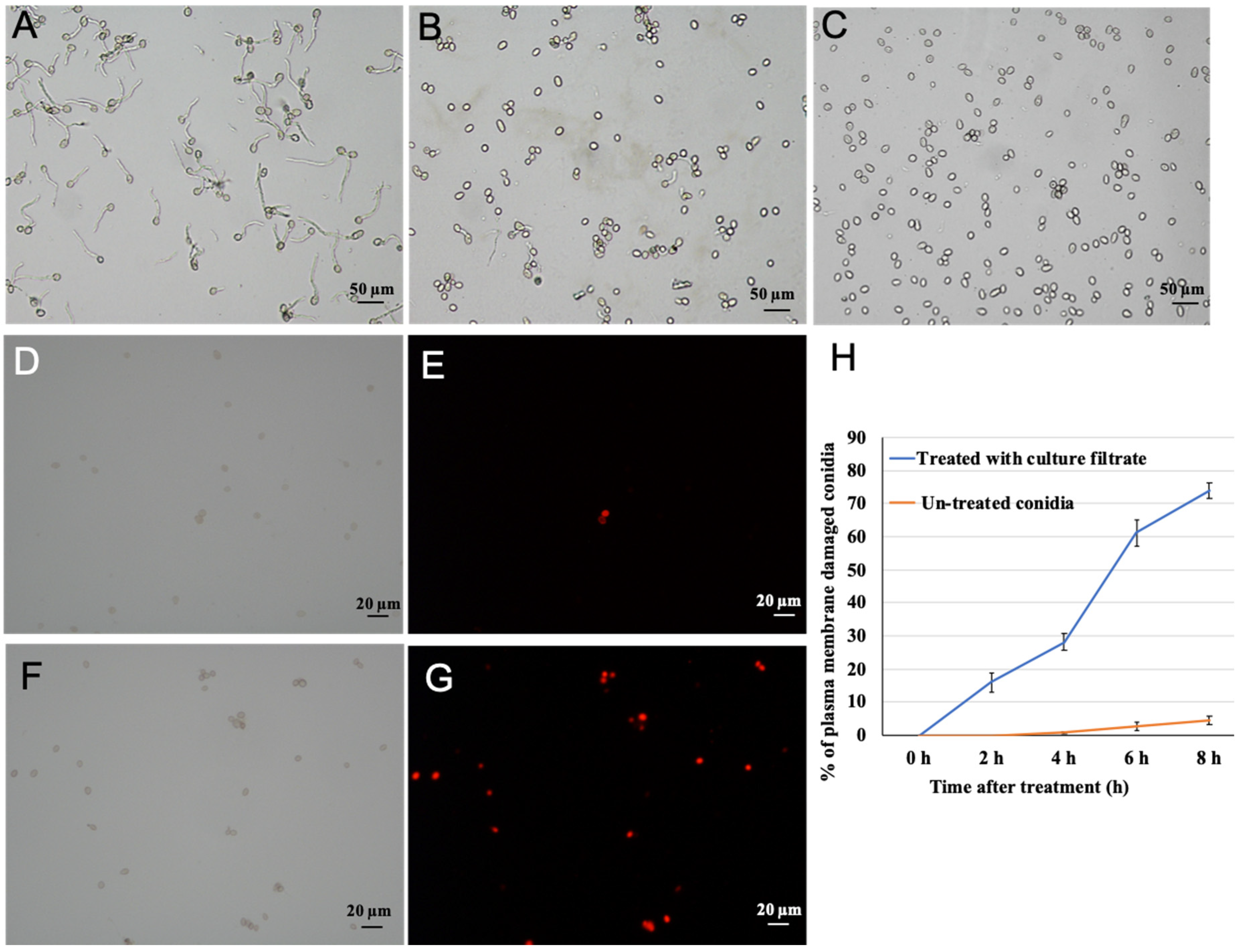 Pathogens 09 00213 g004 Pathogens 09 00213 g004
