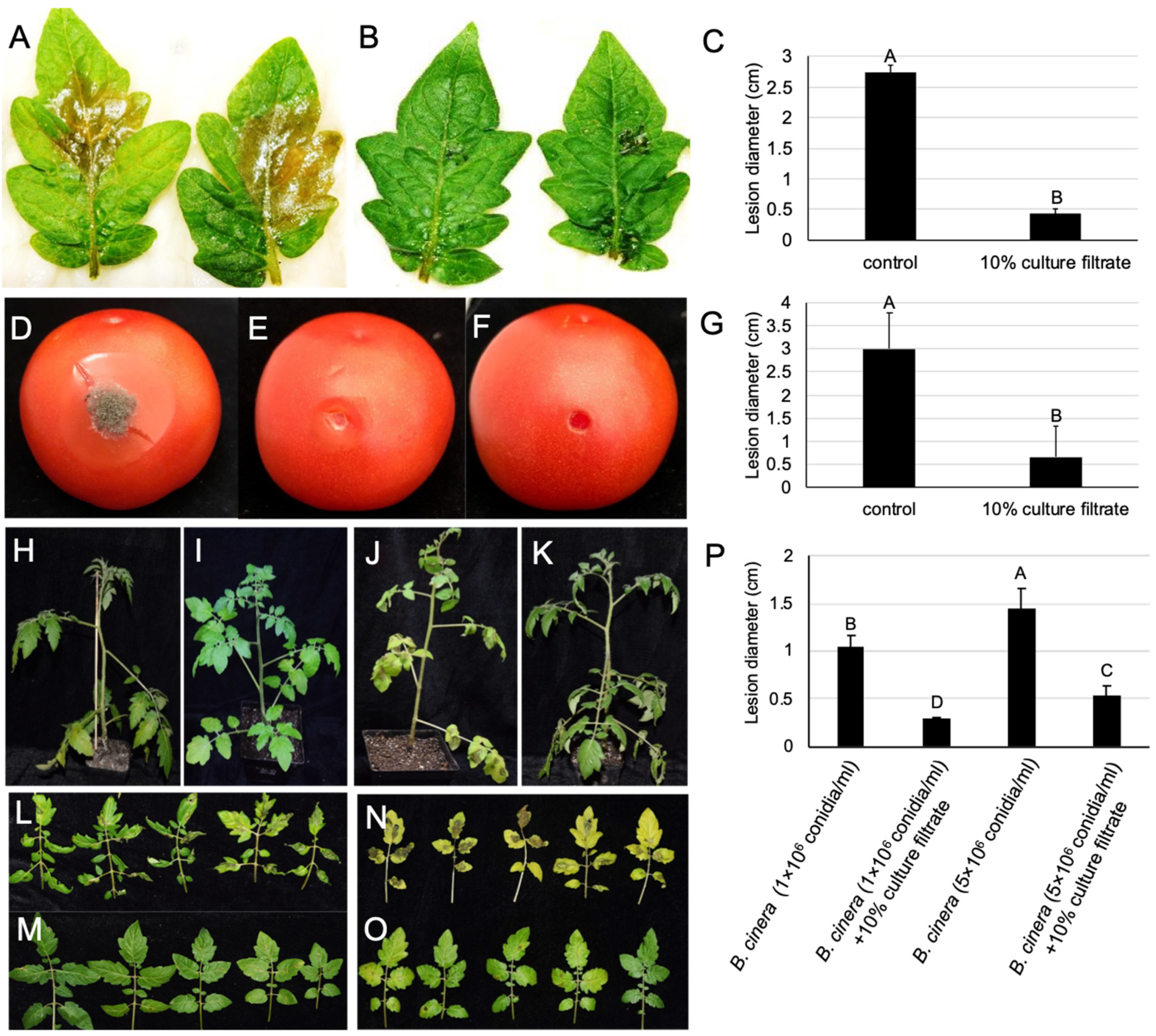 Pathogens 09 00213 g006 Pathogens 09 00213 g006