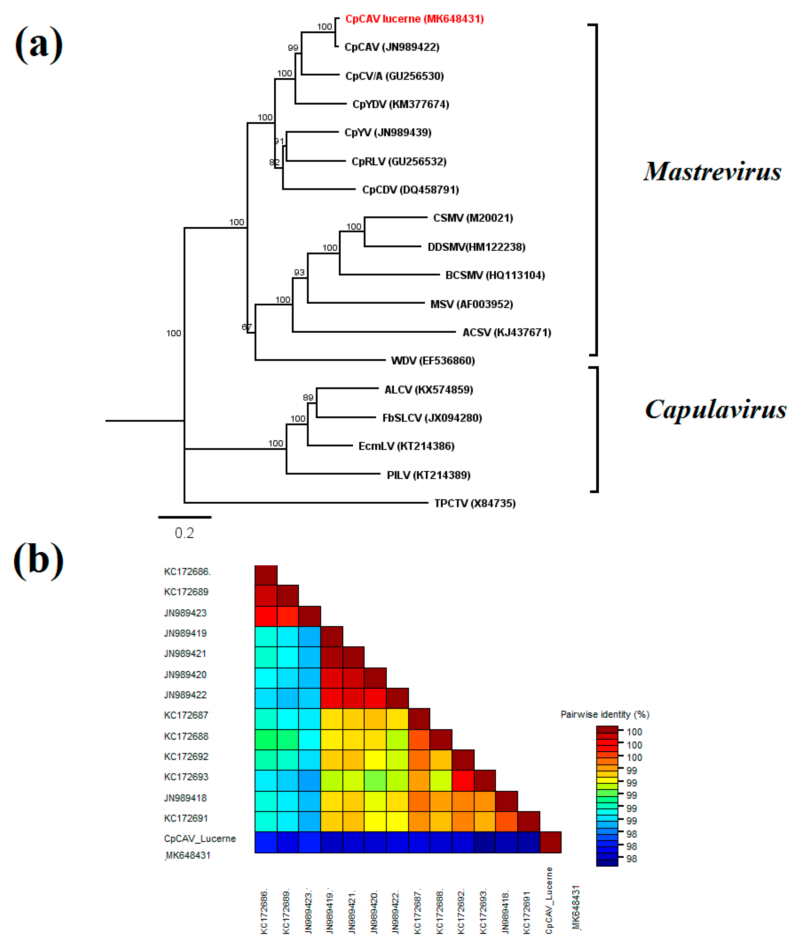 Pathogens 09 00214 g007 Pathogens 09 00214 g007