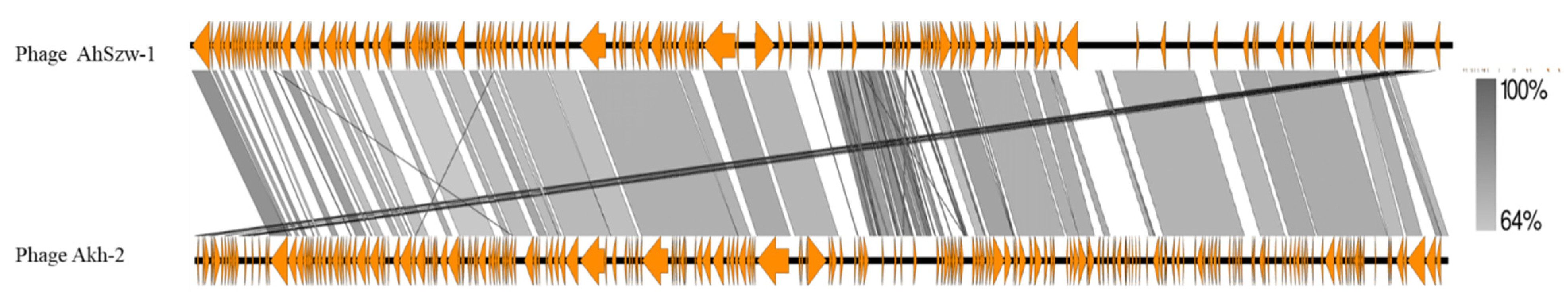 Pathogens 09 00215 g005 Pathogens 09 00215 g005