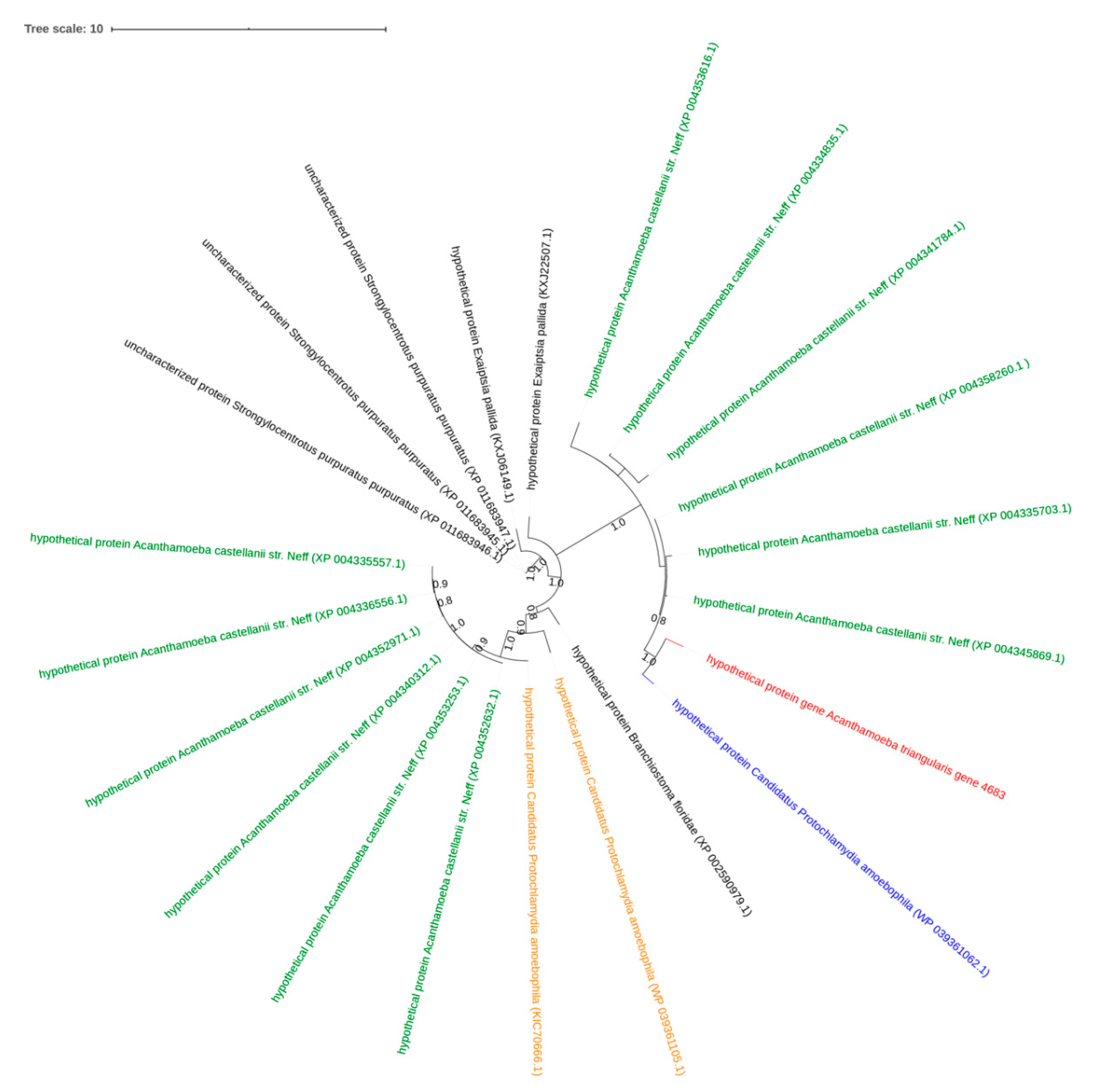 Pathogens 09 00217 g005
