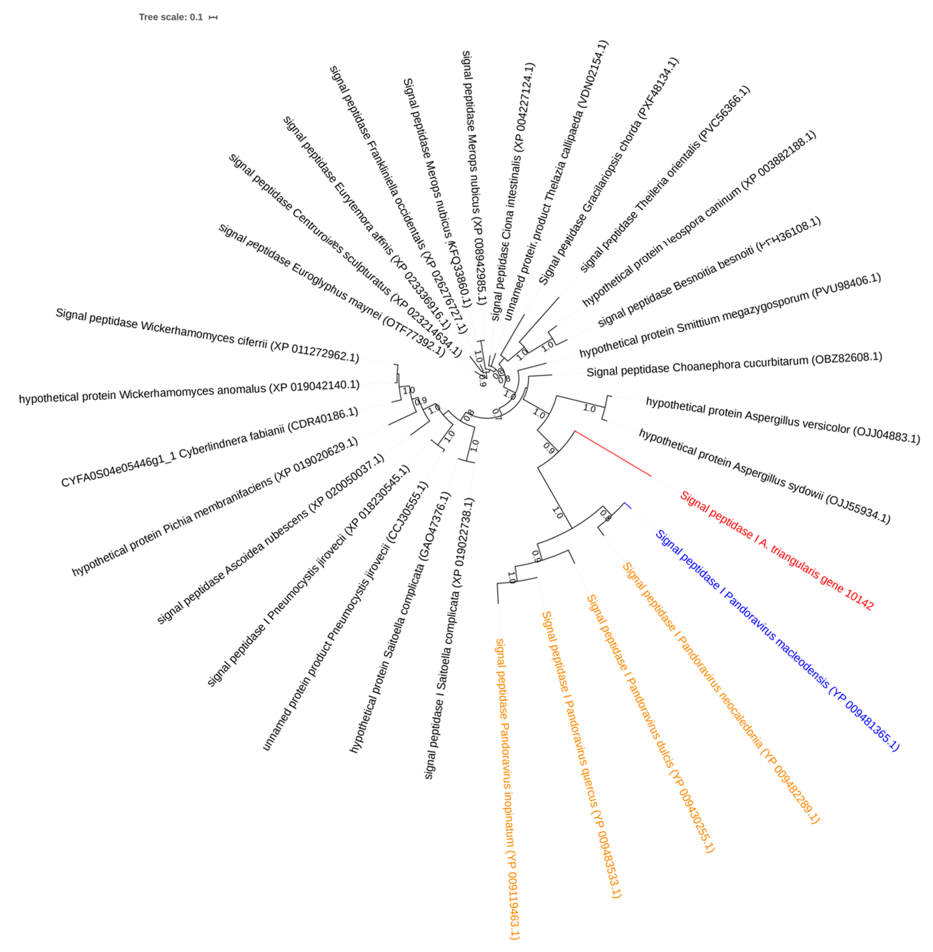 Pathogens 09 00217 g006