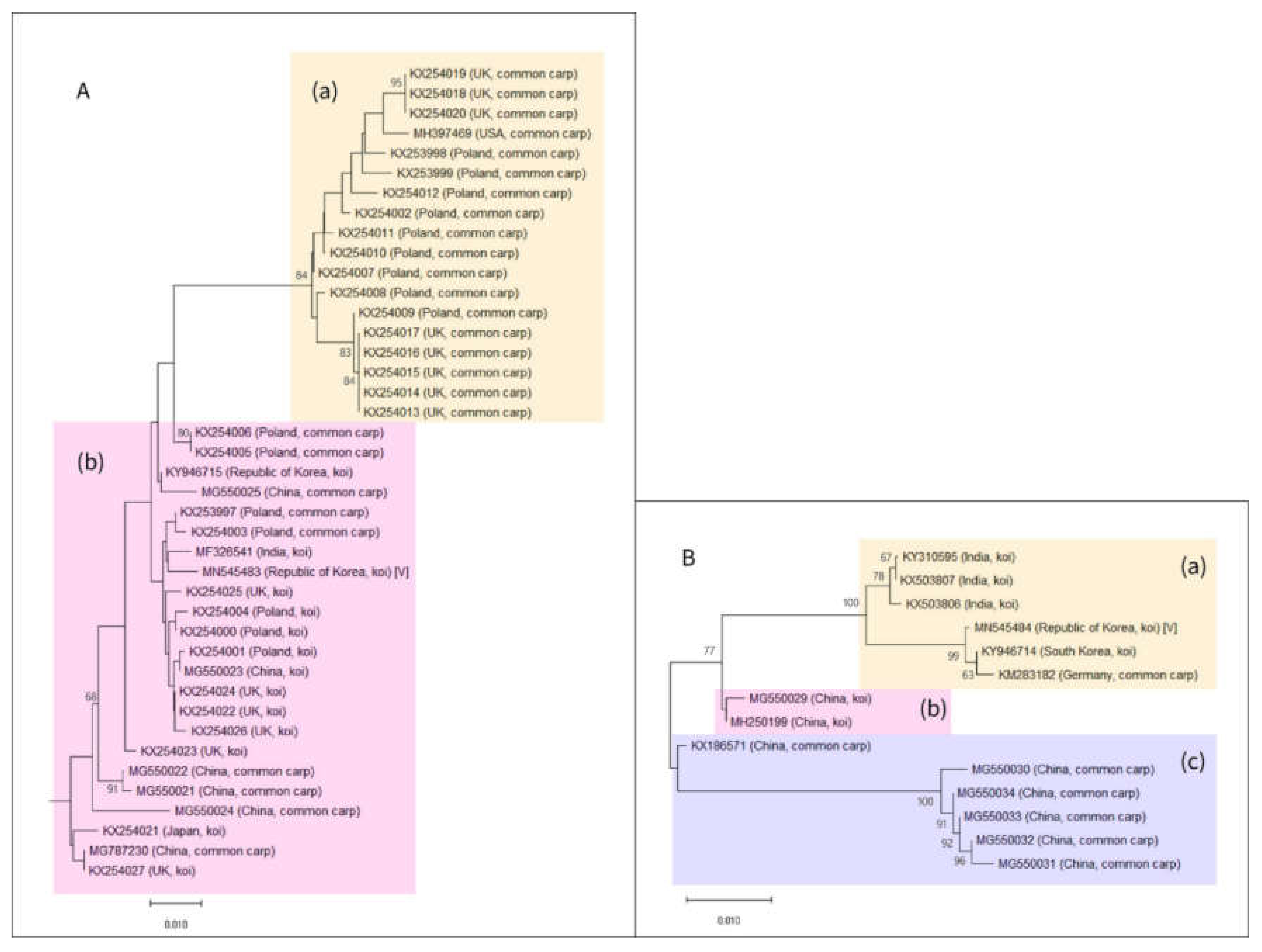 Pathogens 09 00222 g003
