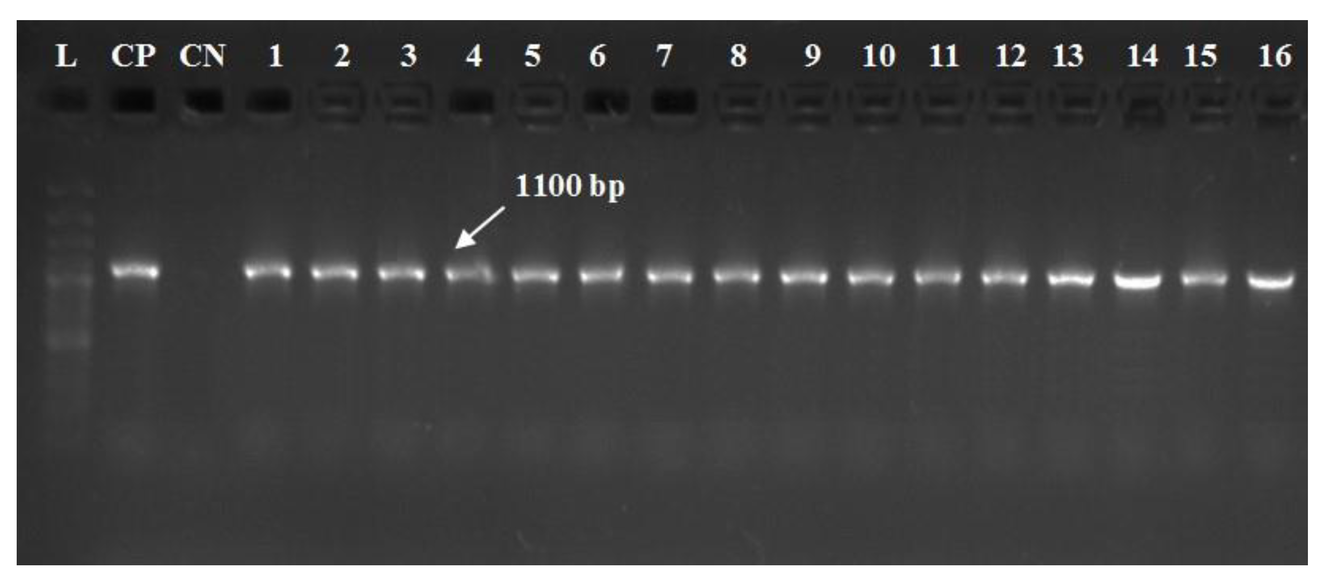 Pathogens 09 00238 g003