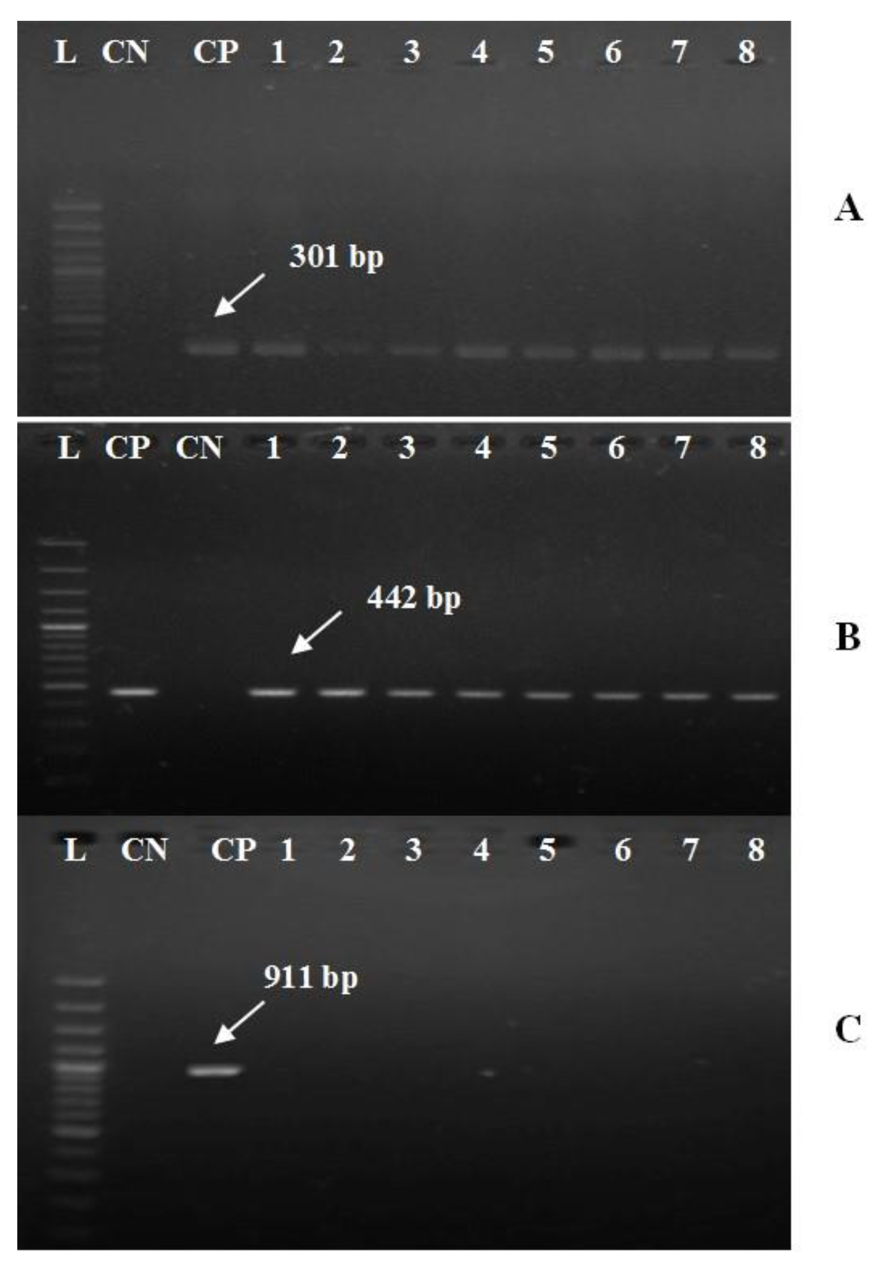 Pathogens 09 00238 g004