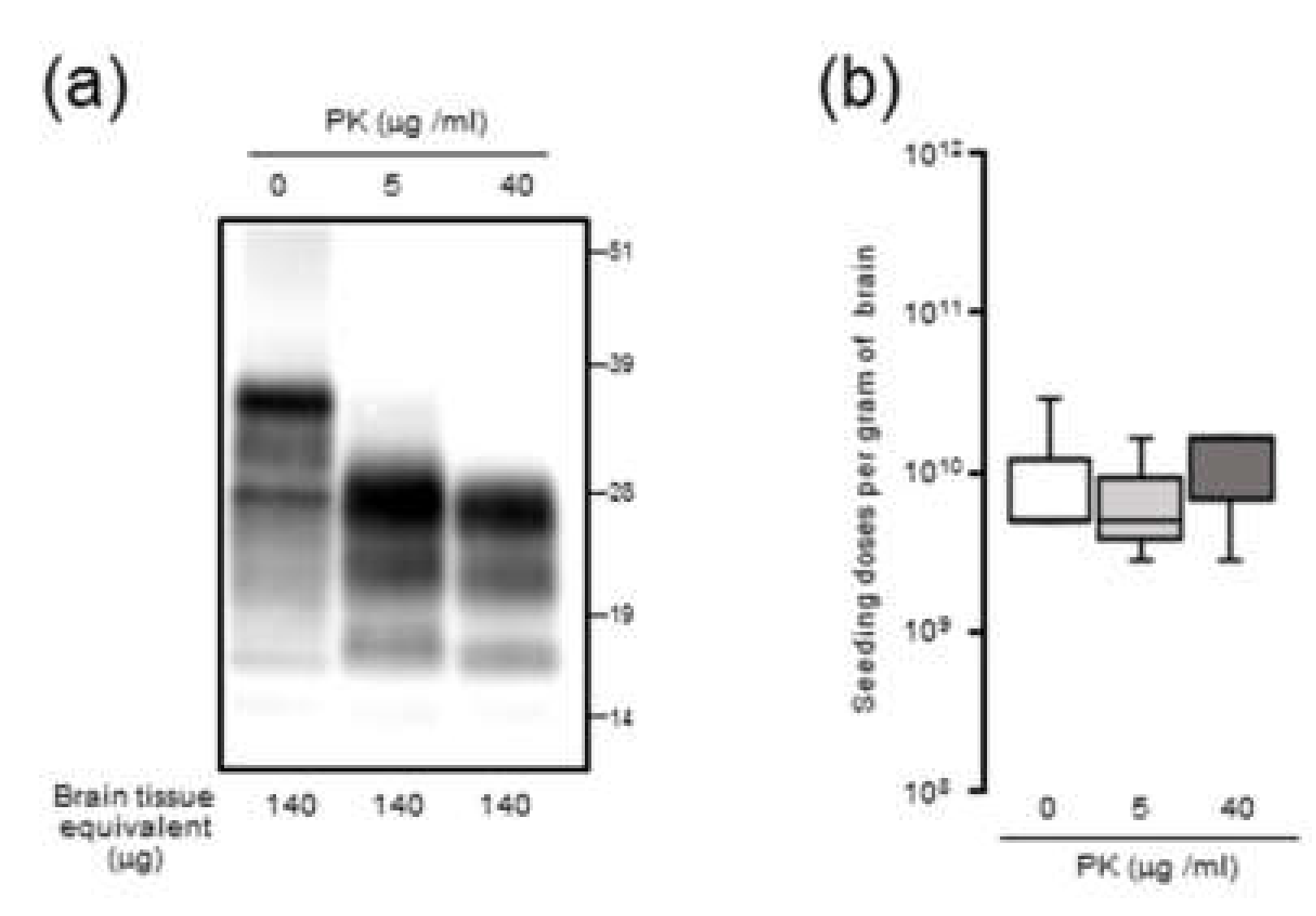 Pathogens 09 00241 g004
