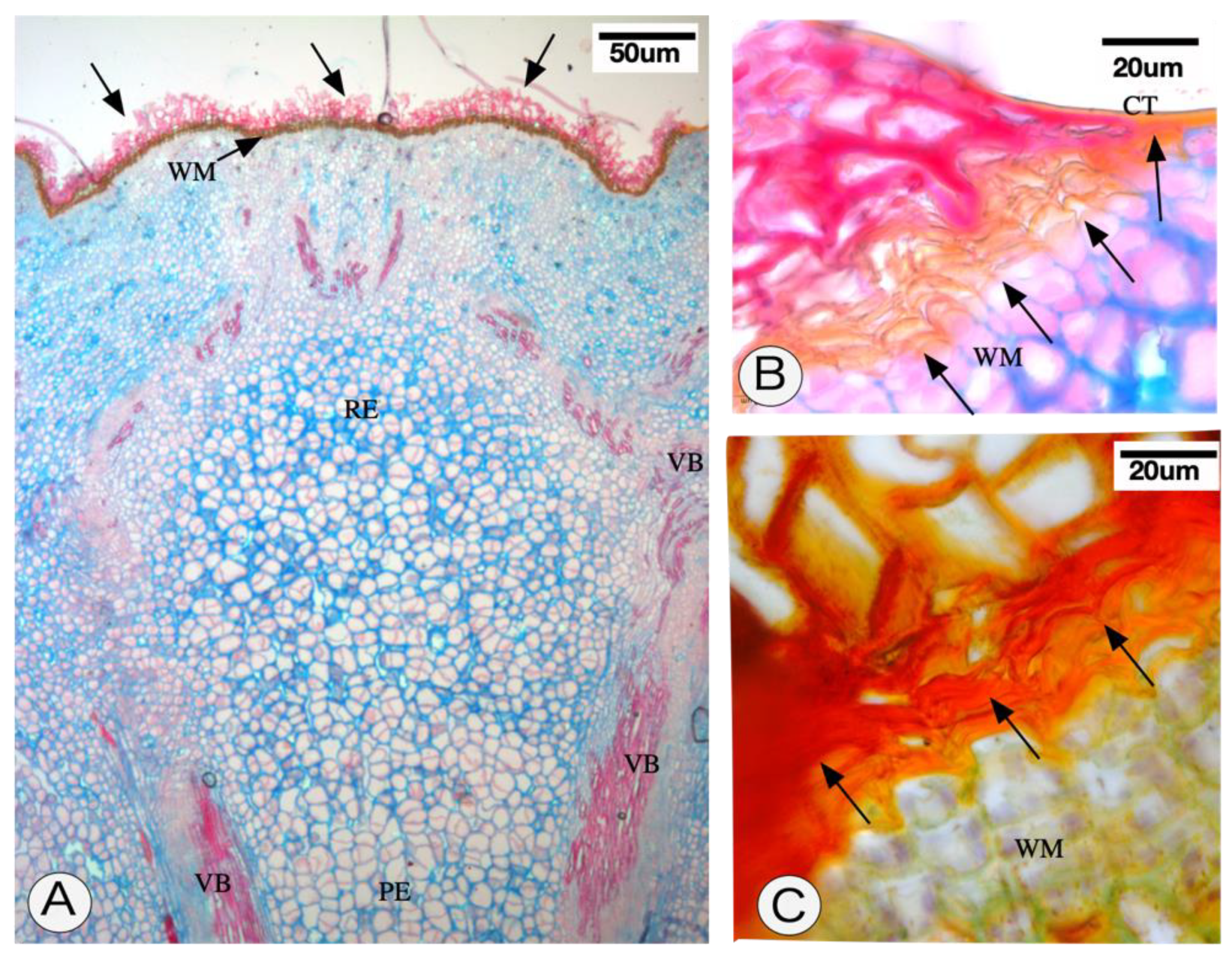 Pathogens 09 00251 g003 Pathogens 09 00251 g003