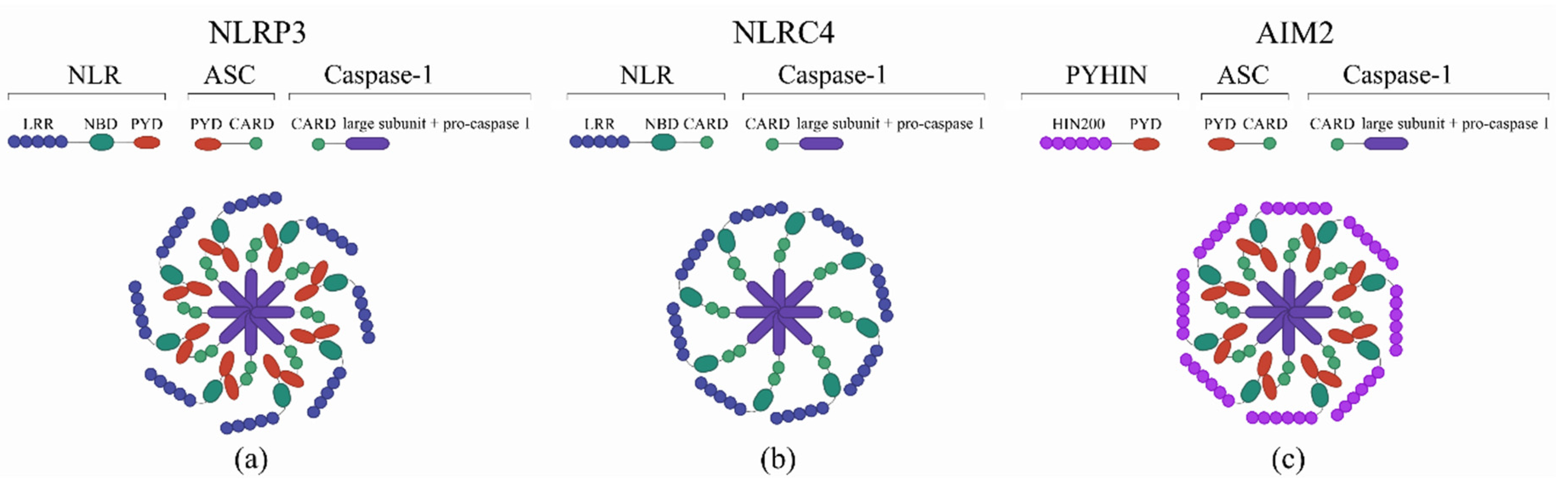 Pathogens 09 00252 g001 Pathogens 09 00252 g001