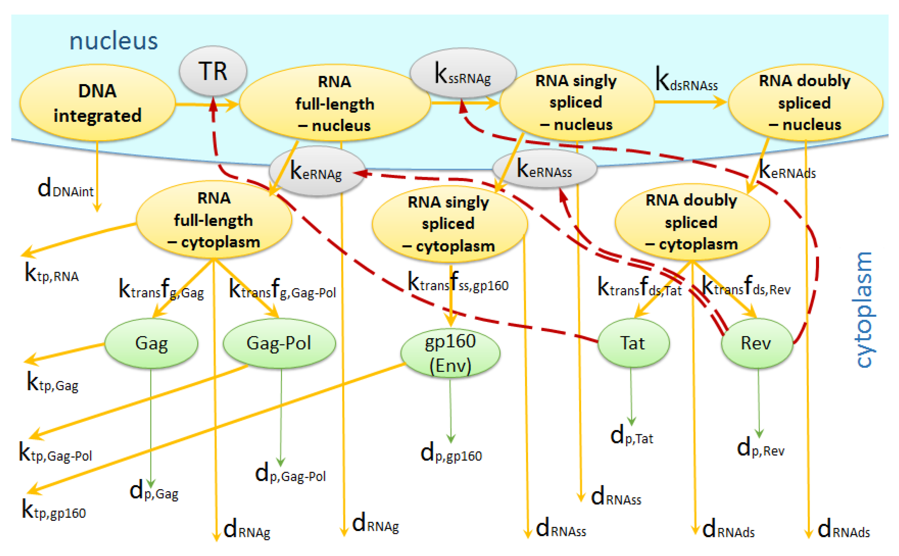 Pathogens 09 00255 g004