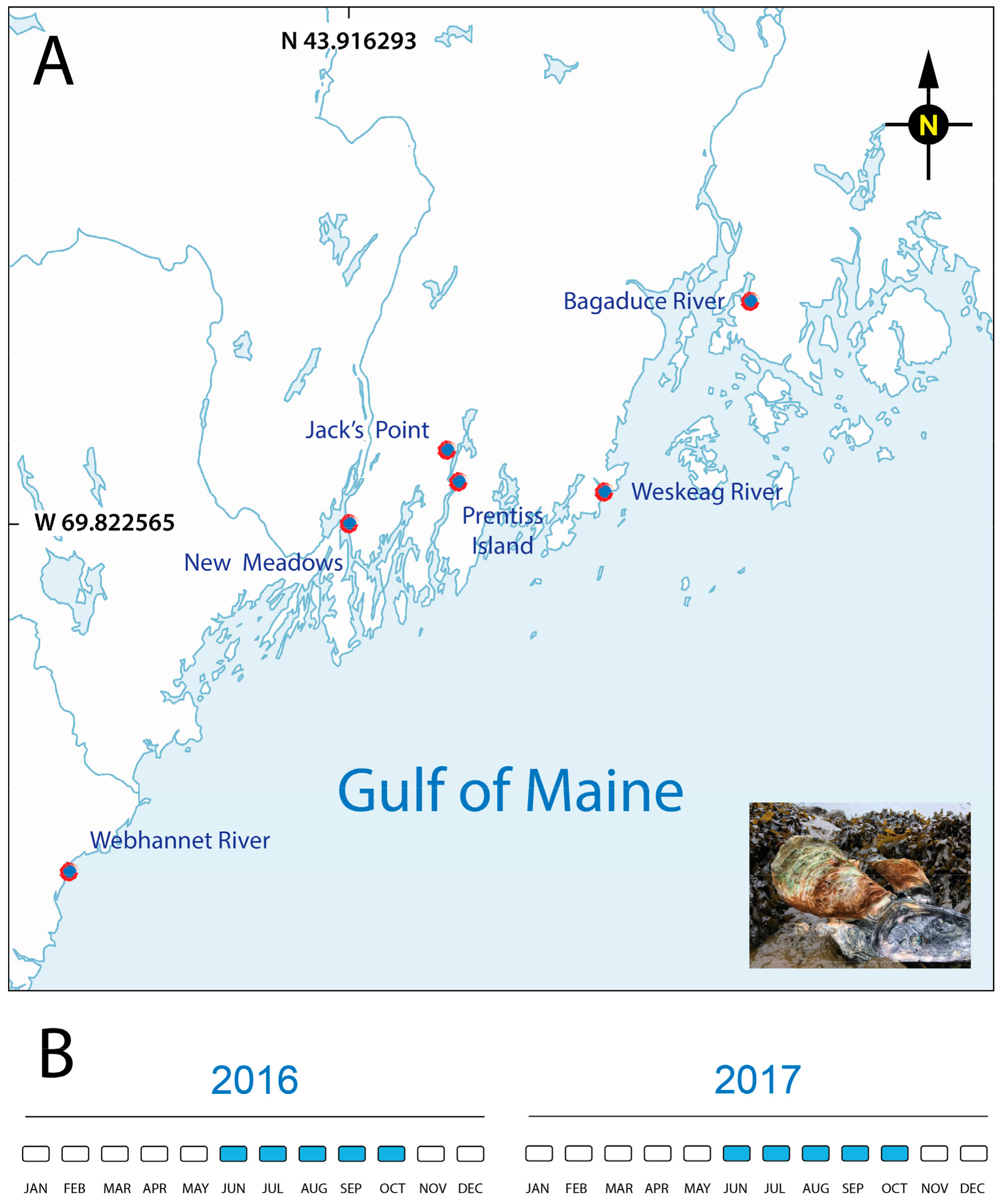 Pathogens 09 00256 g001 Pathogens 09 00256 g001