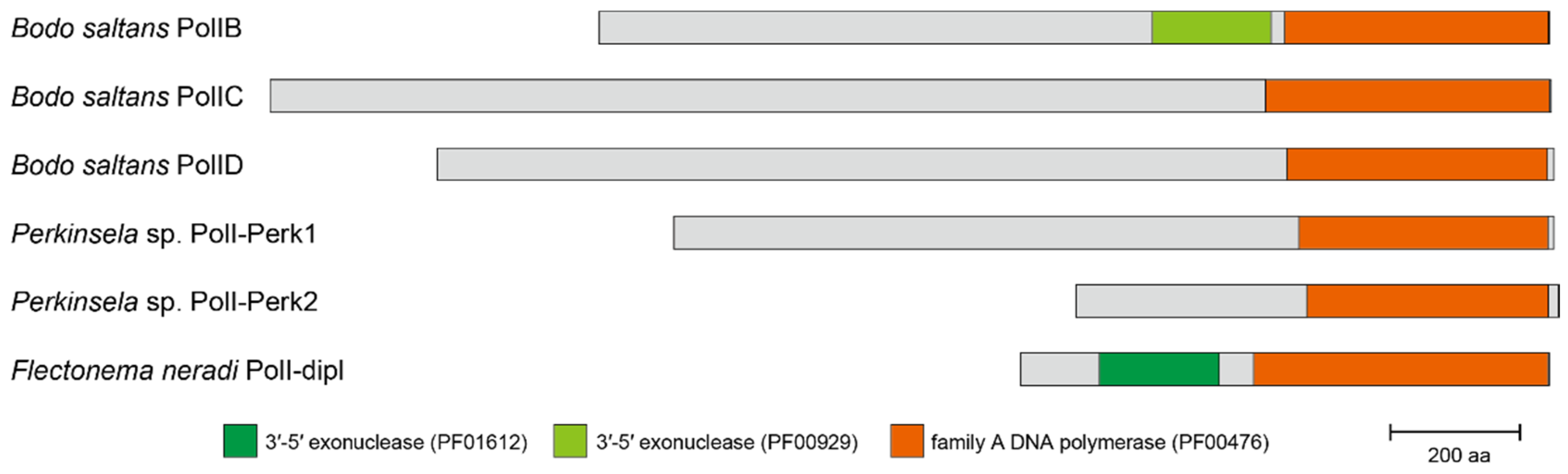 Pathogens 09 00257 g003