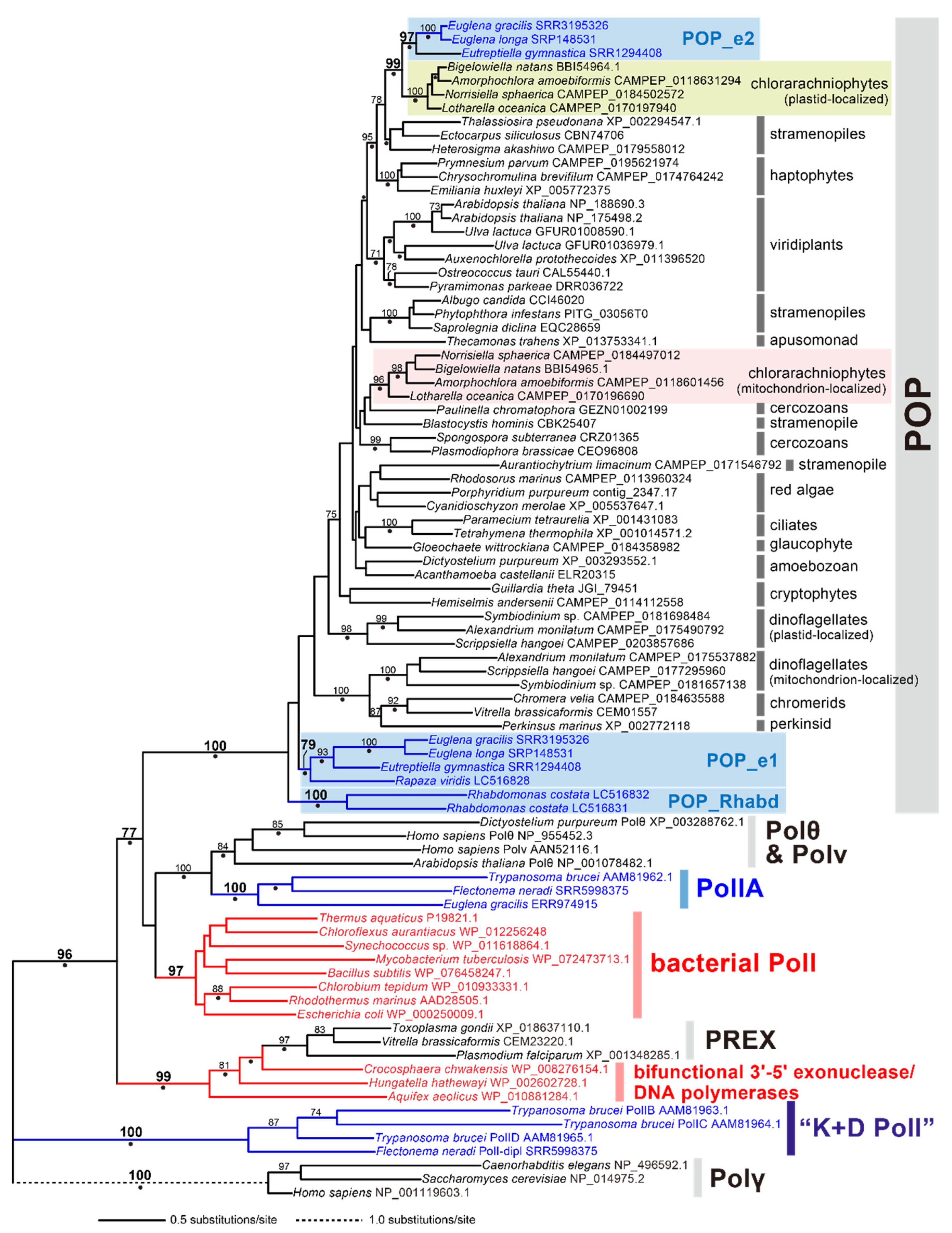 Pathogens 09 00257 g004