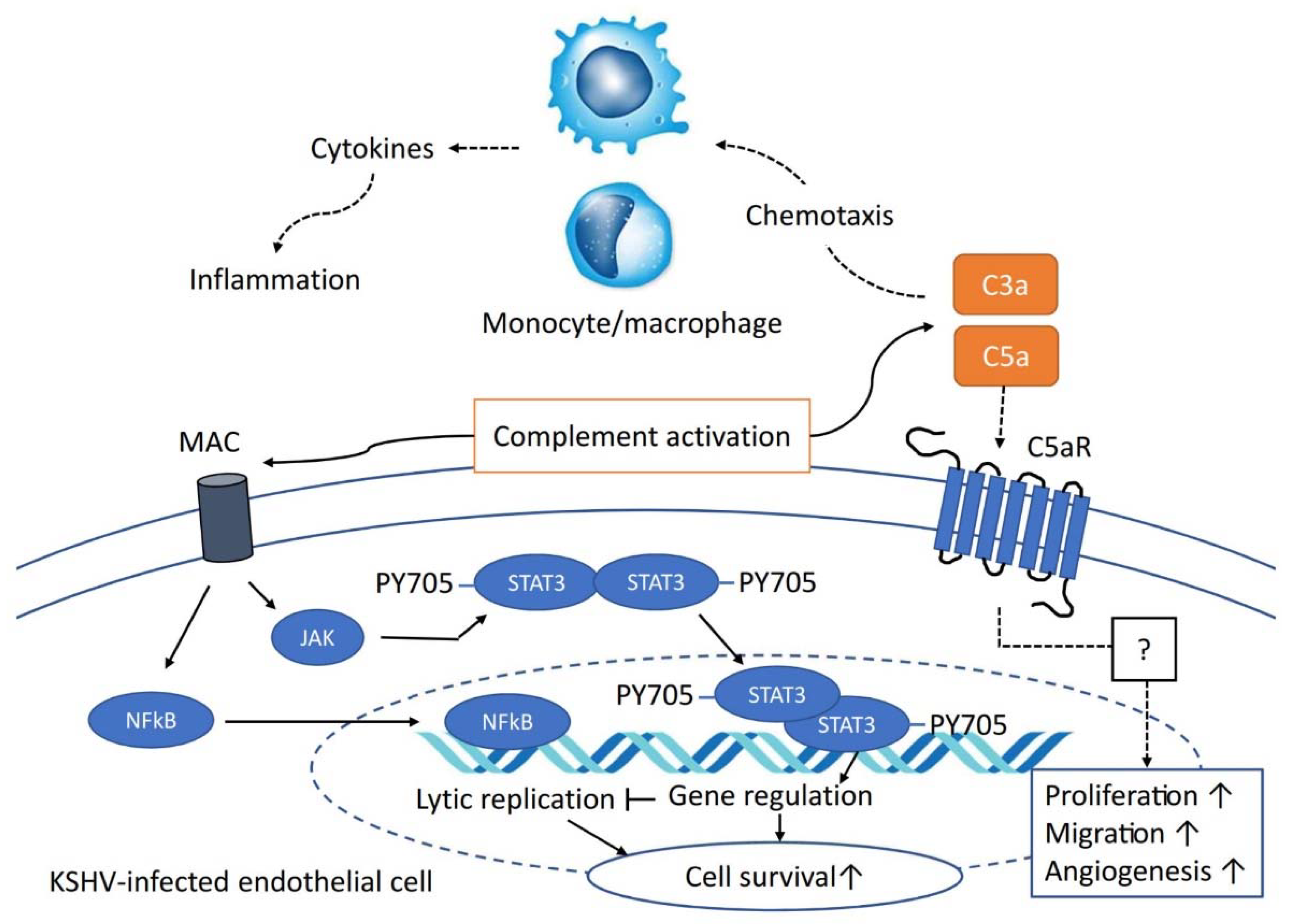 Pathogens 09 00260 g003 Pathogens 09 00260 g003