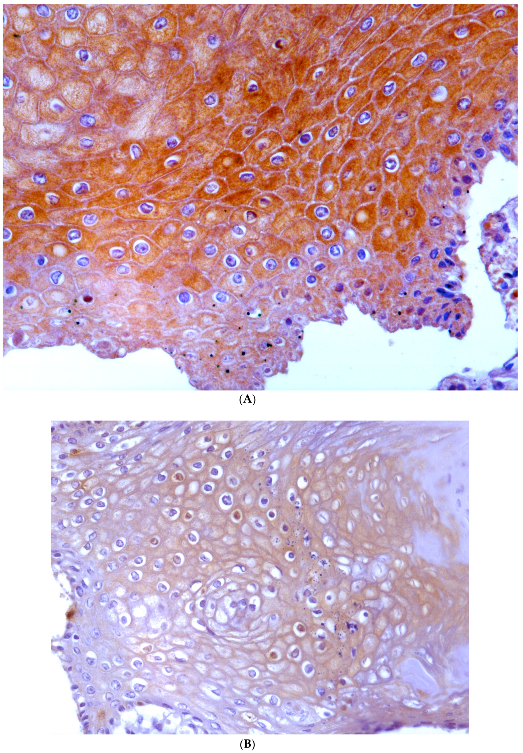 Pathogens 09 00262 g009