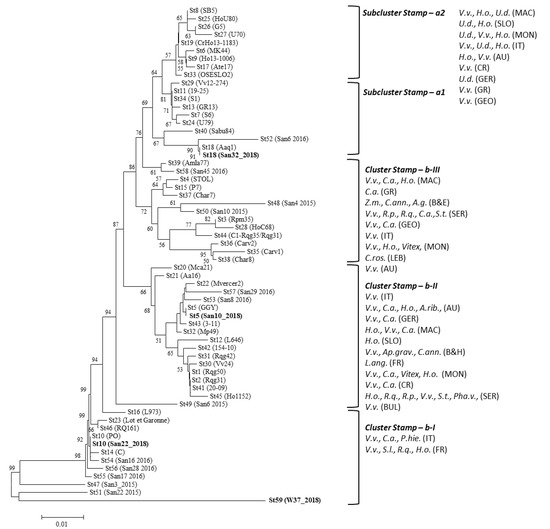 Pathogens Free Full Text Proposal Of A New Bois Noir Epidemiological Pattern Related To Candidatus Phytoplasma Solani Strains Characterized By A Possible Moderate Virulence In Tuscany Html