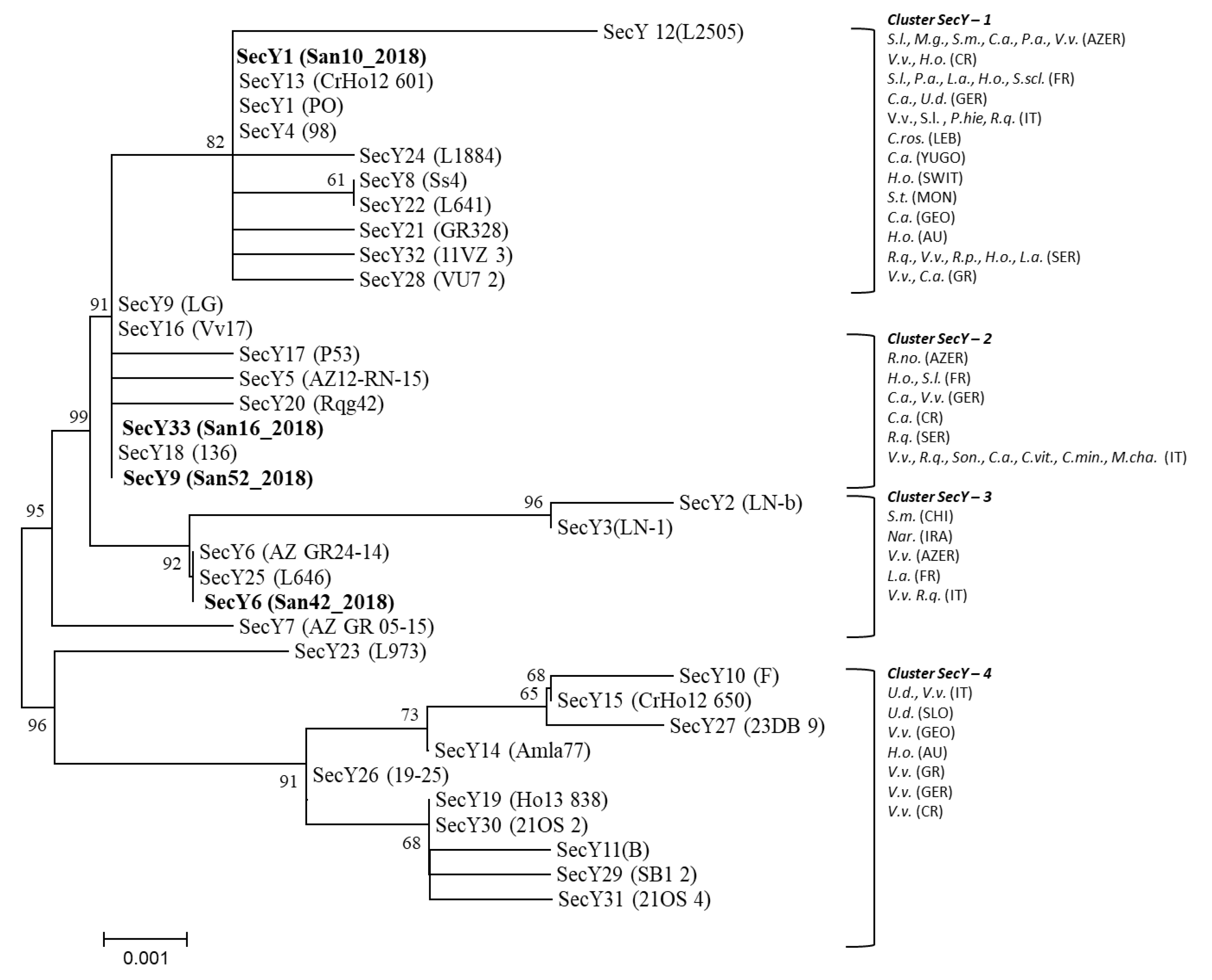 Pathogens Free Full Text Proposal Of A New Bois Noir Epidemiological Pattern Related To Candidatus Phytoplasma Solani Strains Characterized By A Possible Moderate Virulence In Tuscany Html