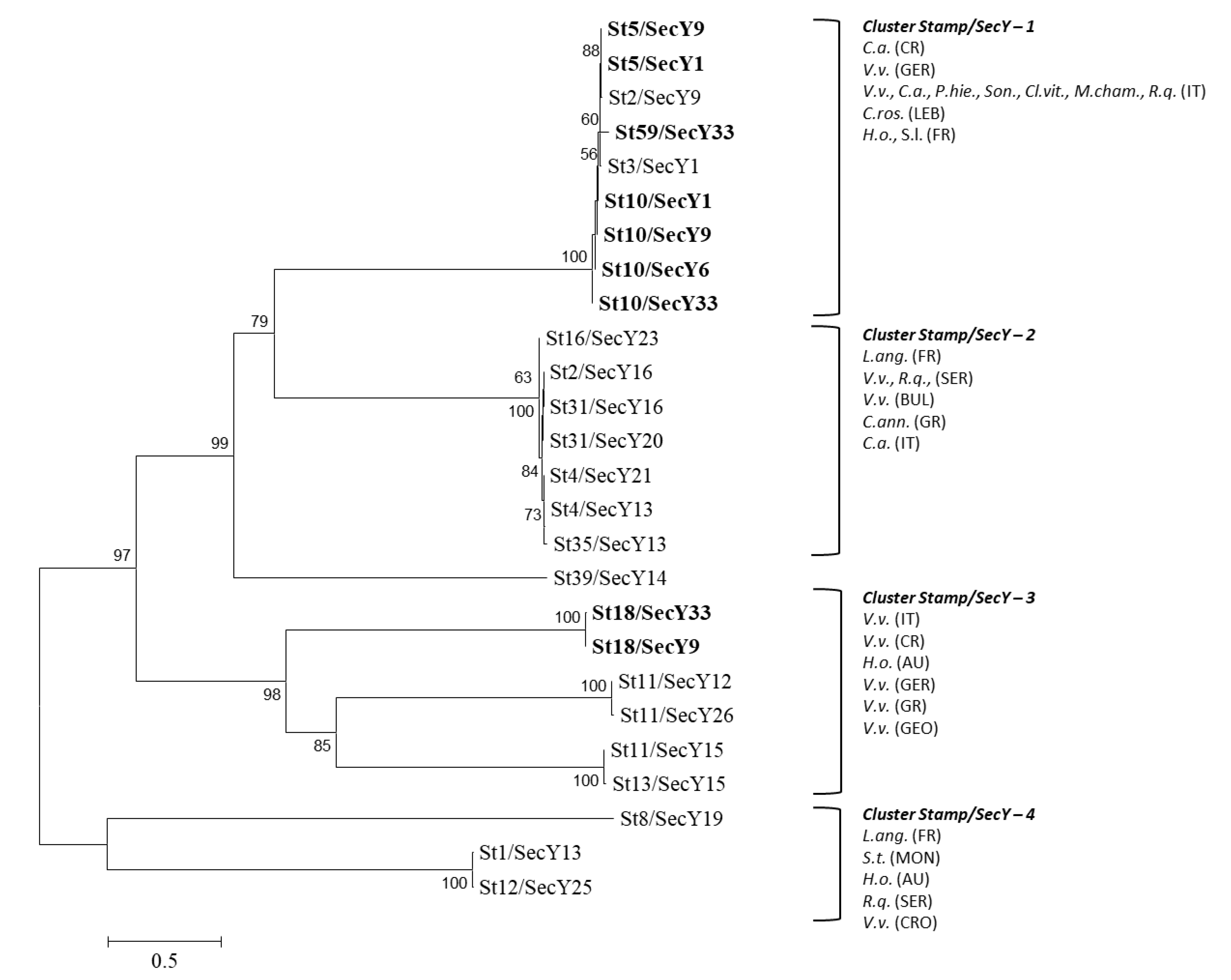 Pathogens Free Full Text Proposal Of A New Bois Noir Epidemiological Pattern Related To Candidatus Phytoplasma Solani Strains Characterized By A Possible Moderate Virulence In Tuscany Html