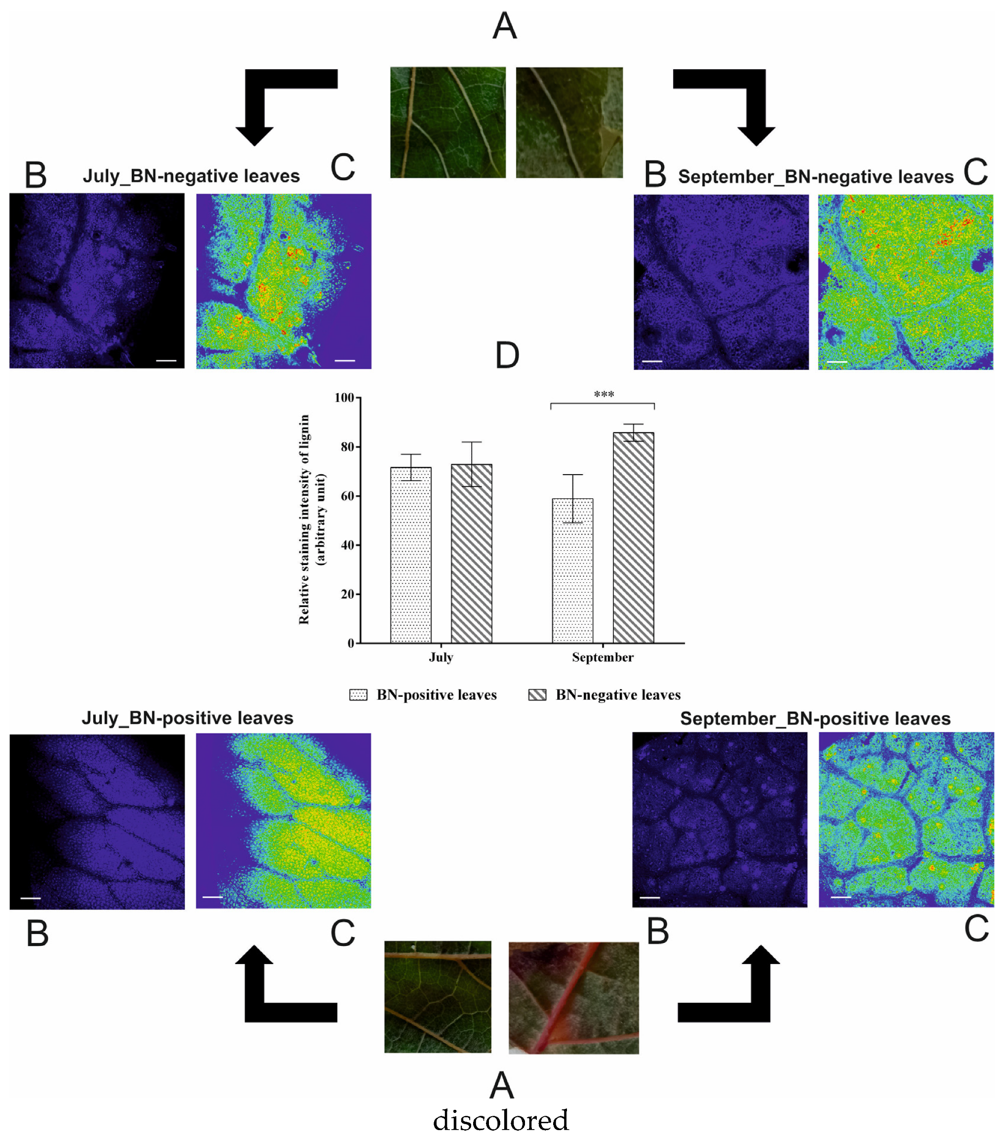 Pathogens 09 00269 g005