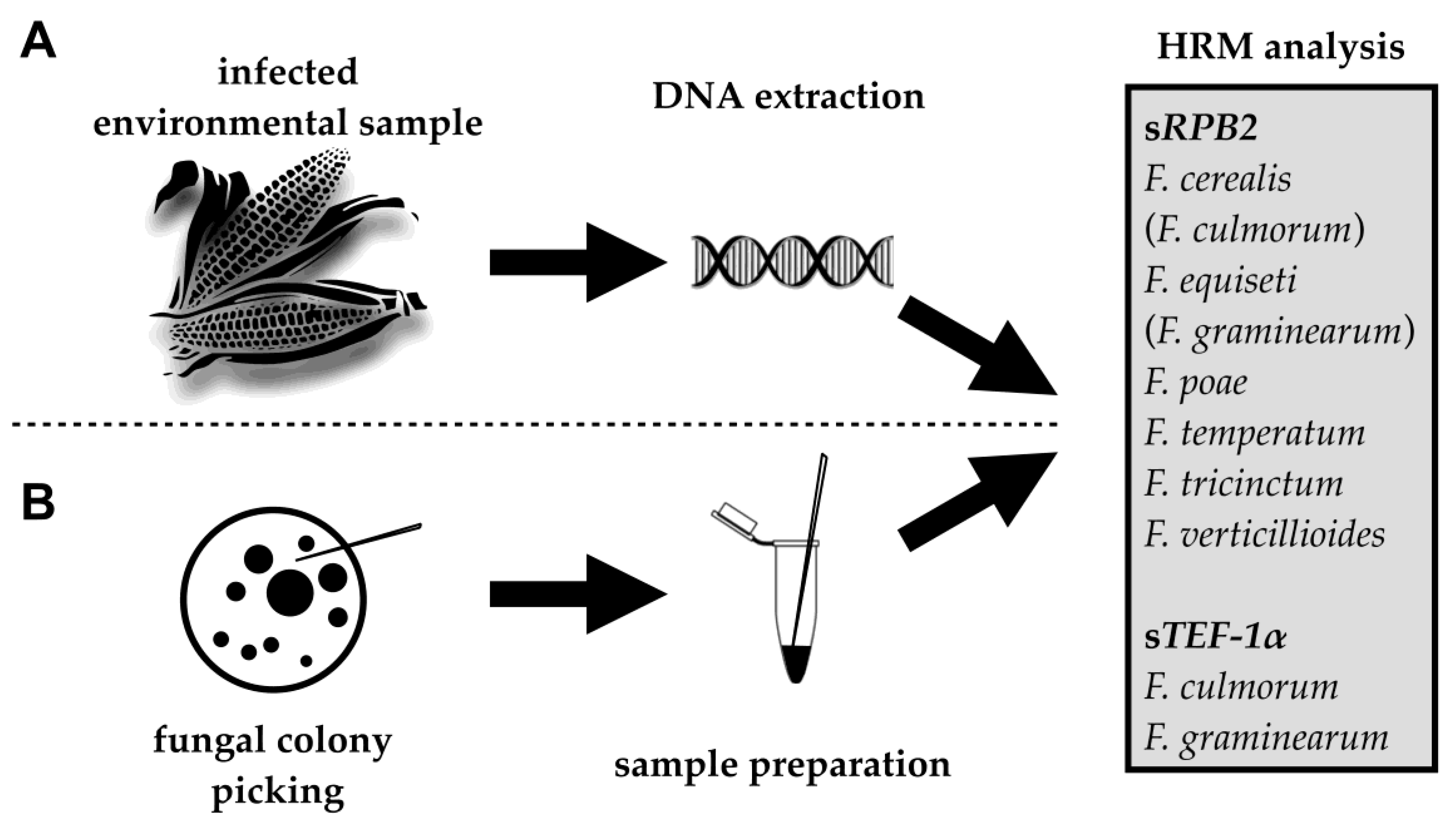 Pathogens 09 00270 g001 Pathogens 09 00270 g001
