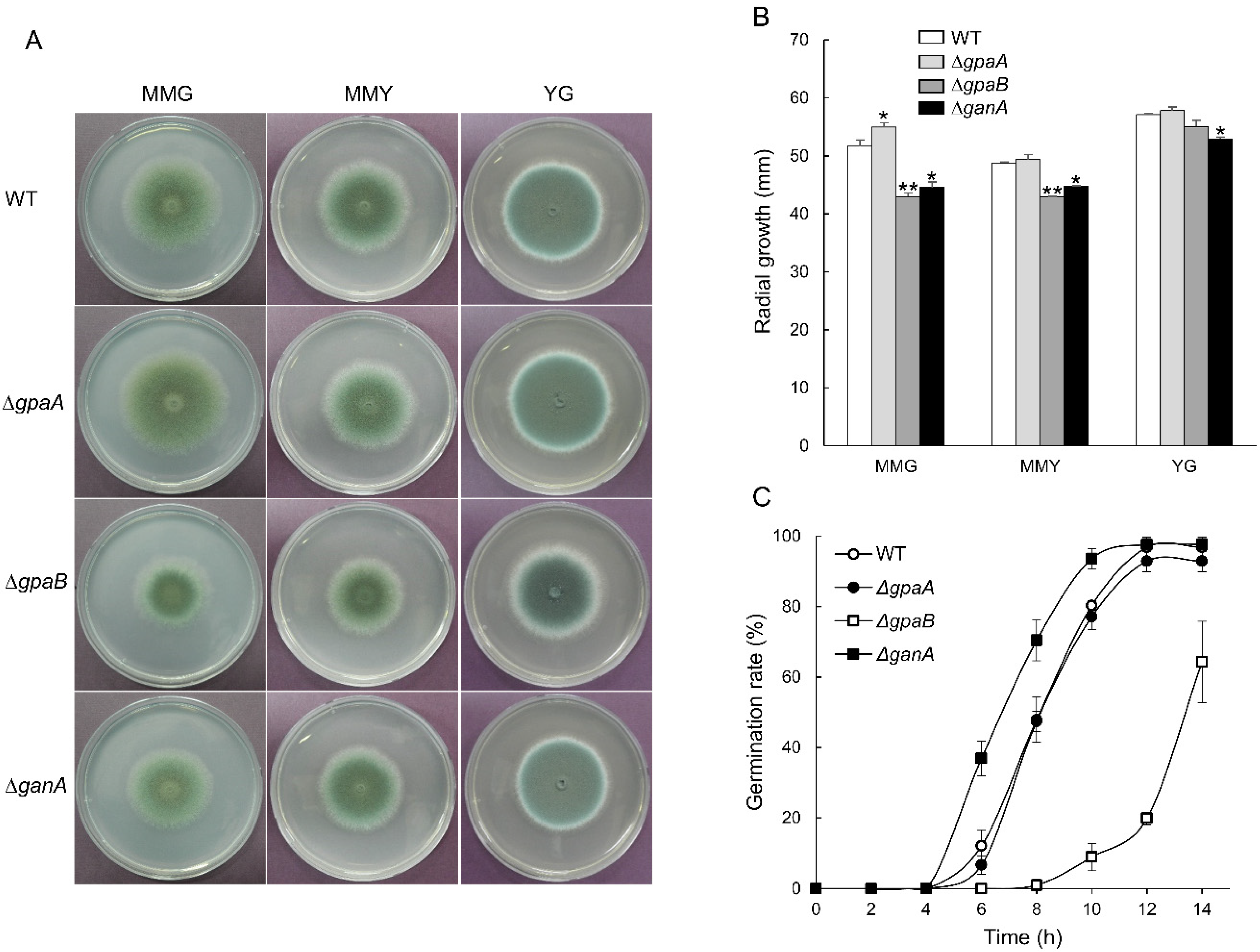 Pathogens 09 00272 g003