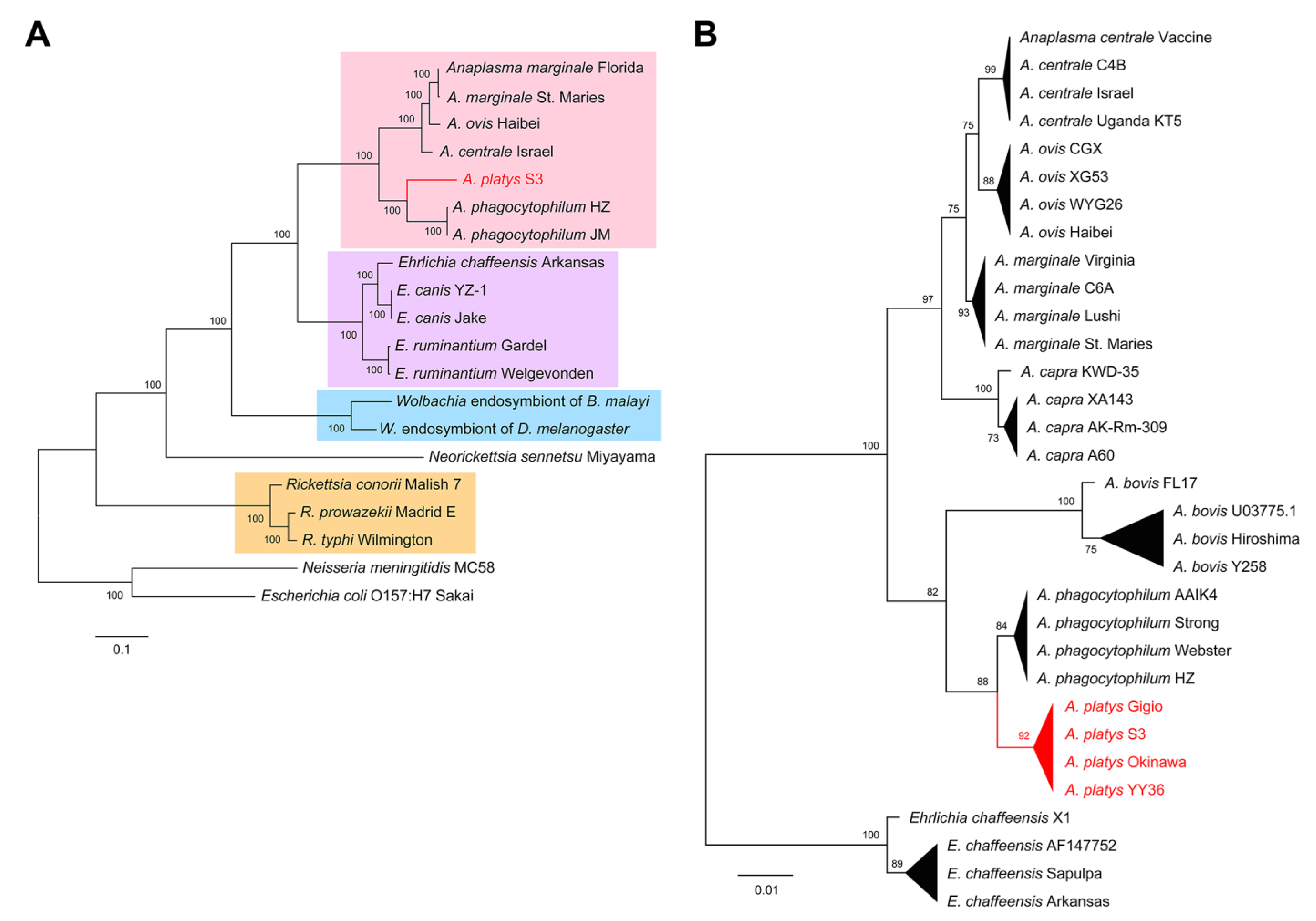 Pathogens 09 00277 g003