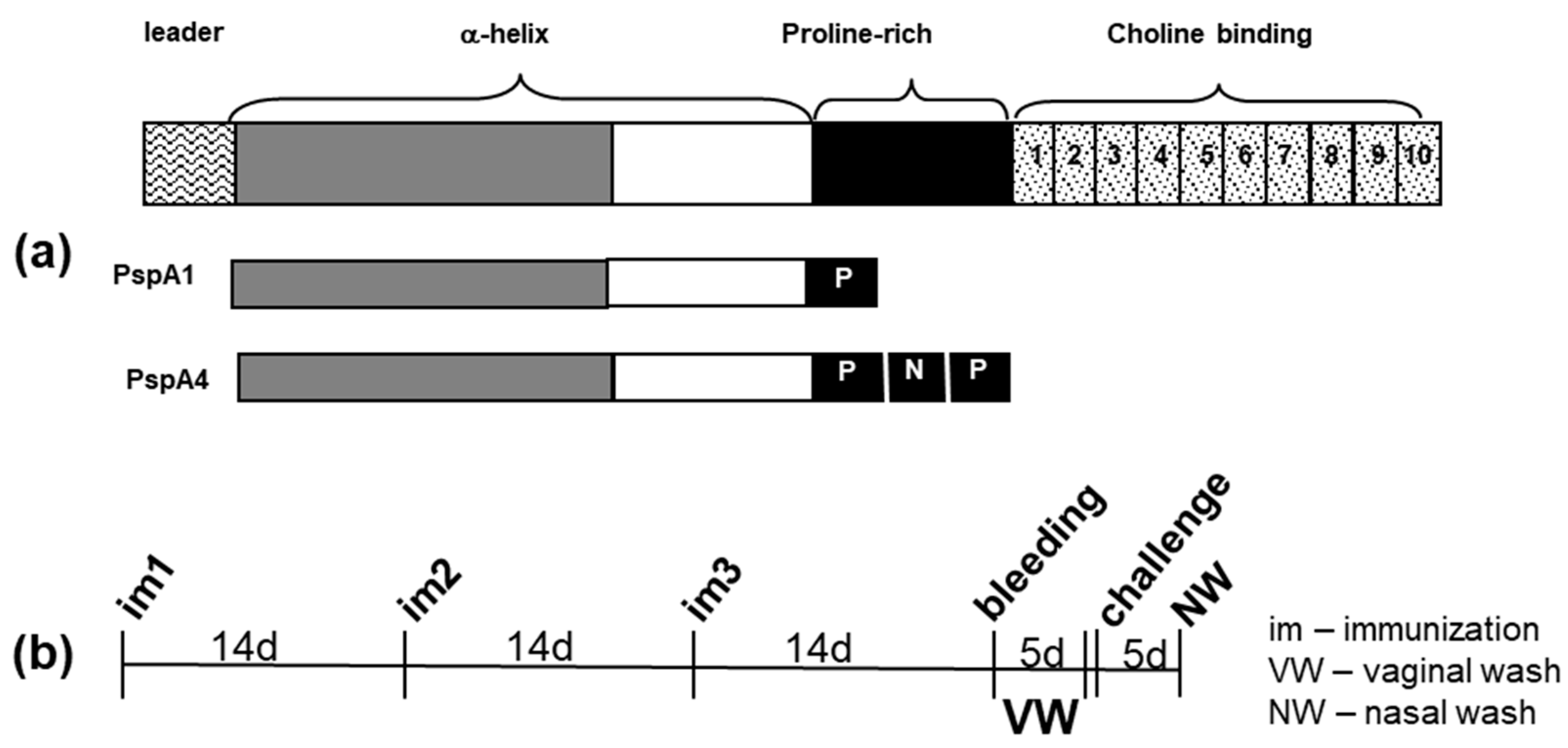 Pathogens 09 00278 g005