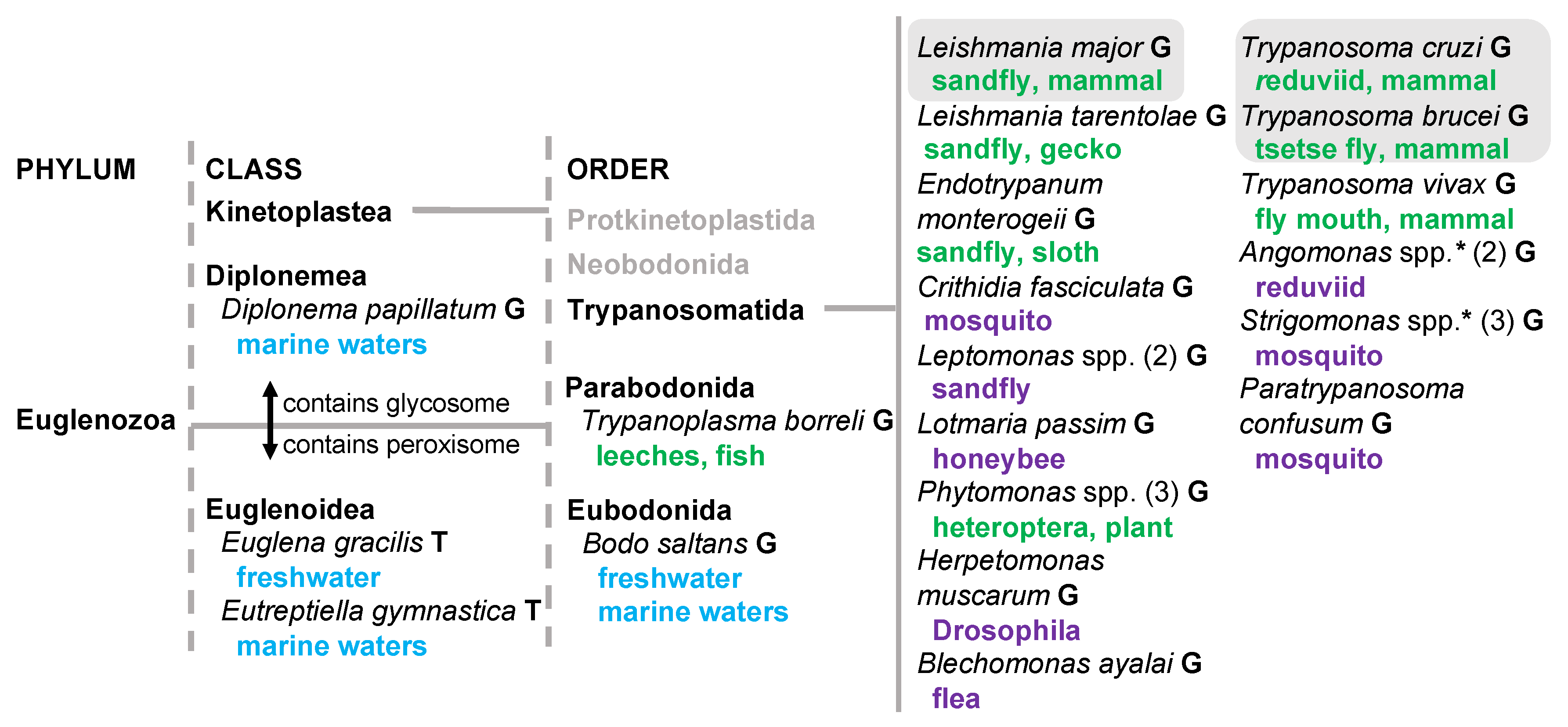 Pathogens 09 00281 g001 Pathogens 09 00281 g001
