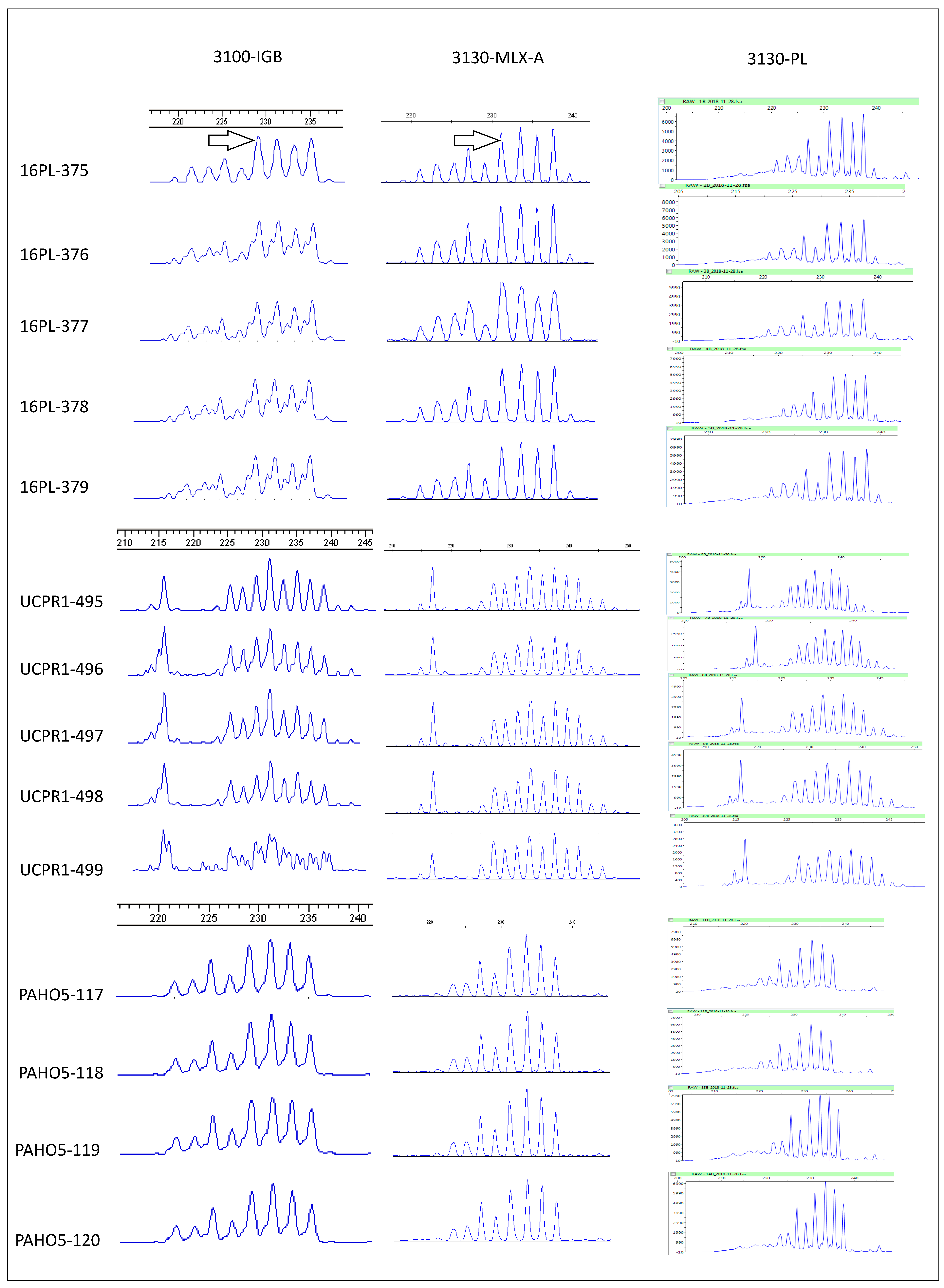 Pathogens 09 00282 g002 Pathogens 09 00282 g002
