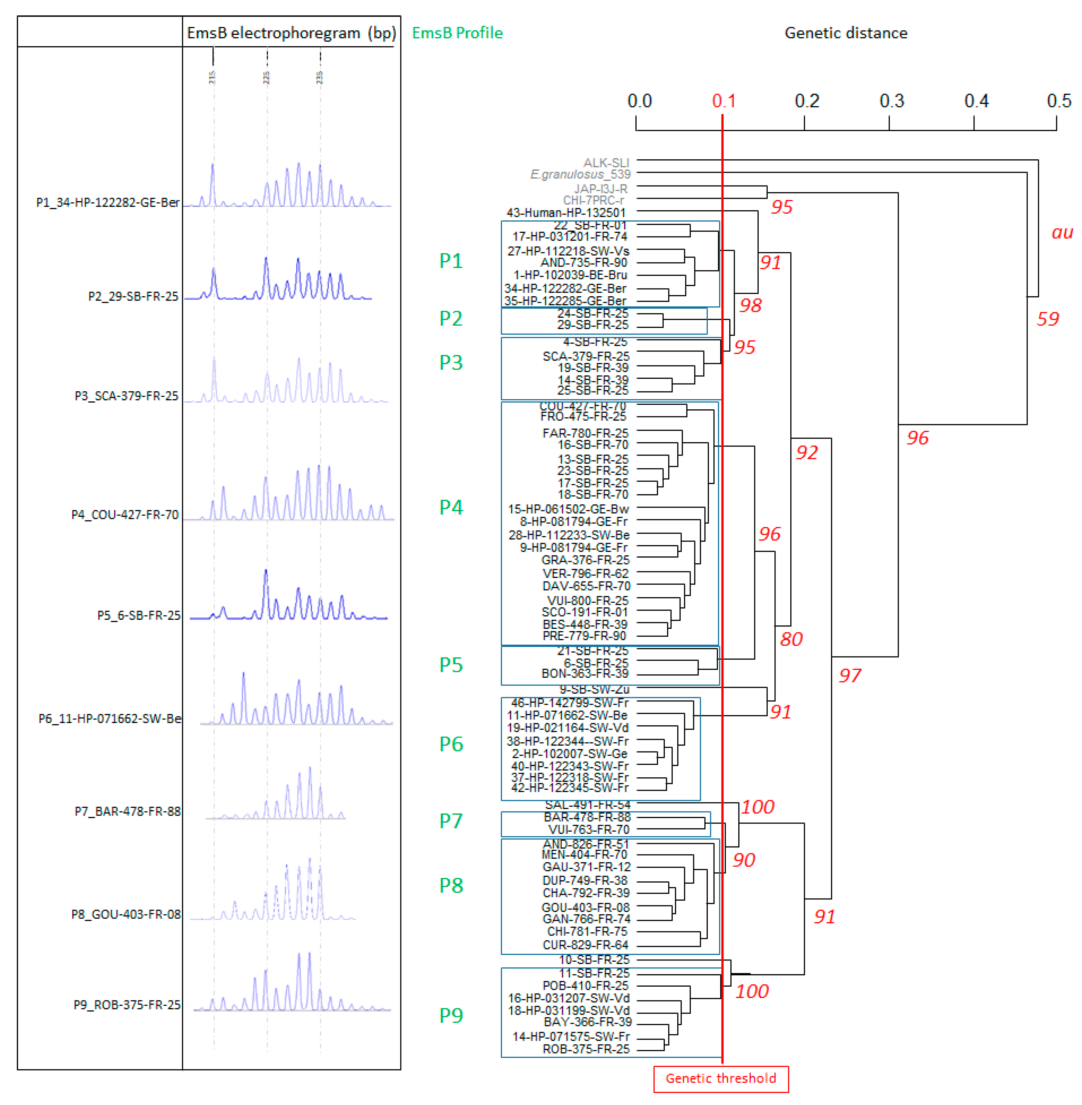 Pathogens 09 00282 g003 Pathogens 09 00282 g003