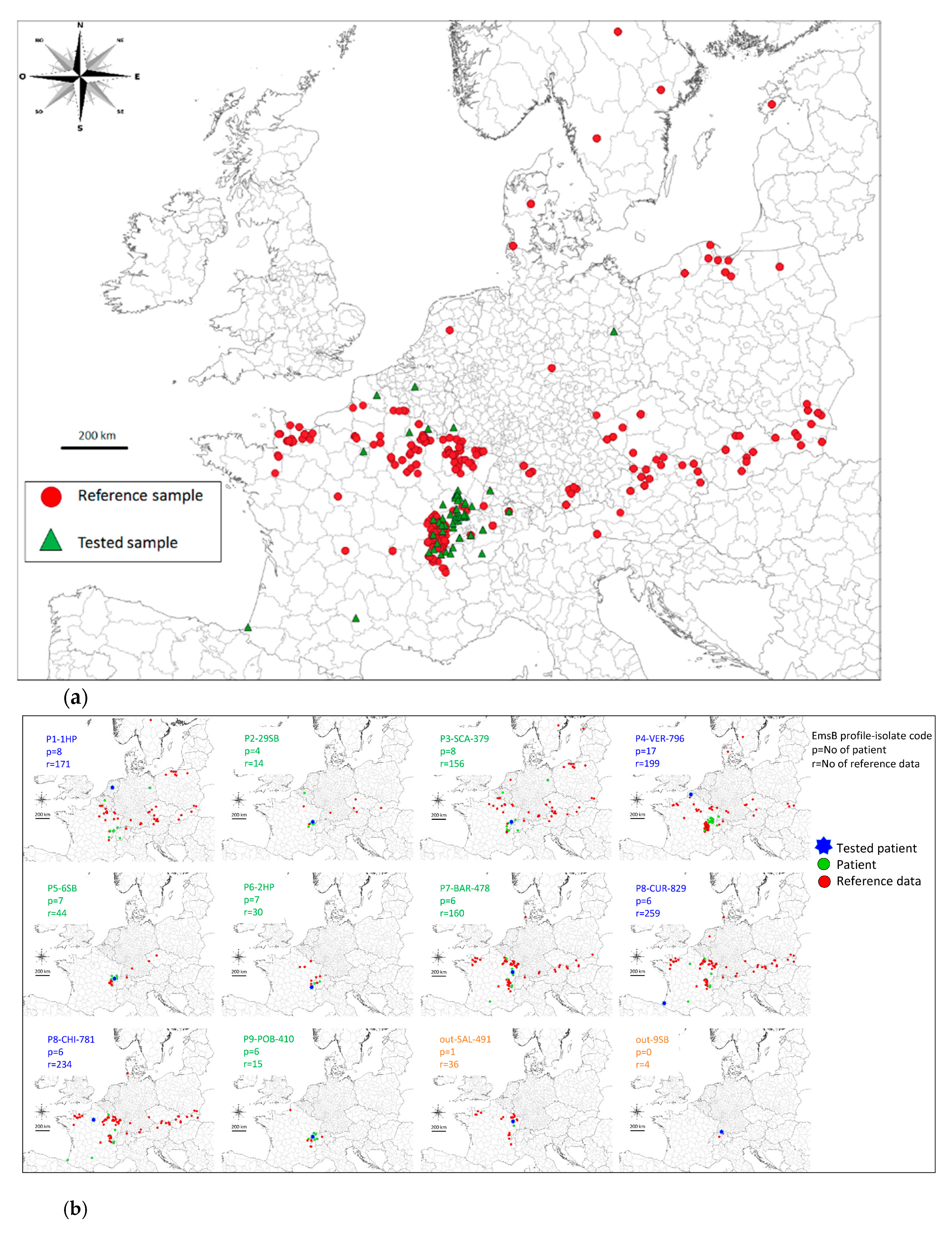 Pathogens Free Full Text Genotyping Echinococcus Multilocularis In Human Alveolar Echinococcosis Patients An Emsb Microsatellite Analysis Html Pathogens Free Full Text Genotyping Echinococcus Multilocularis In Human Alveolar Echinococcosis Patients An Emsb Microsatellite Analysis Html