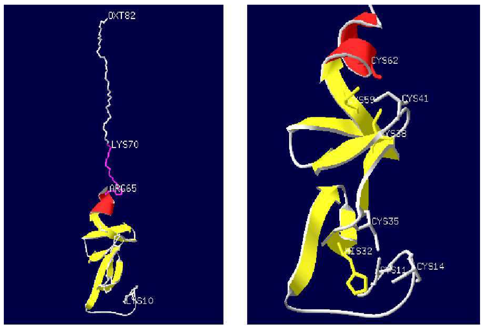 Pathogens 09 00284 g003 Pathogens 09 00284 g003