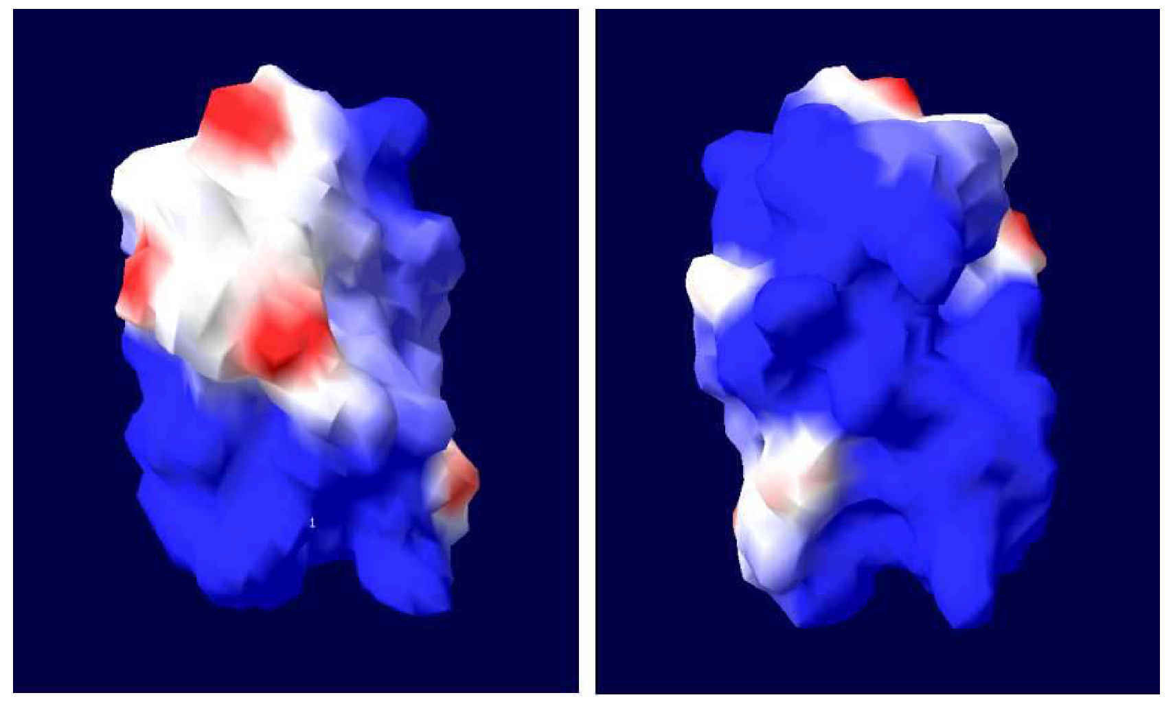 Pathogens 09 00284 g004 Pathogens 09 00284 g004