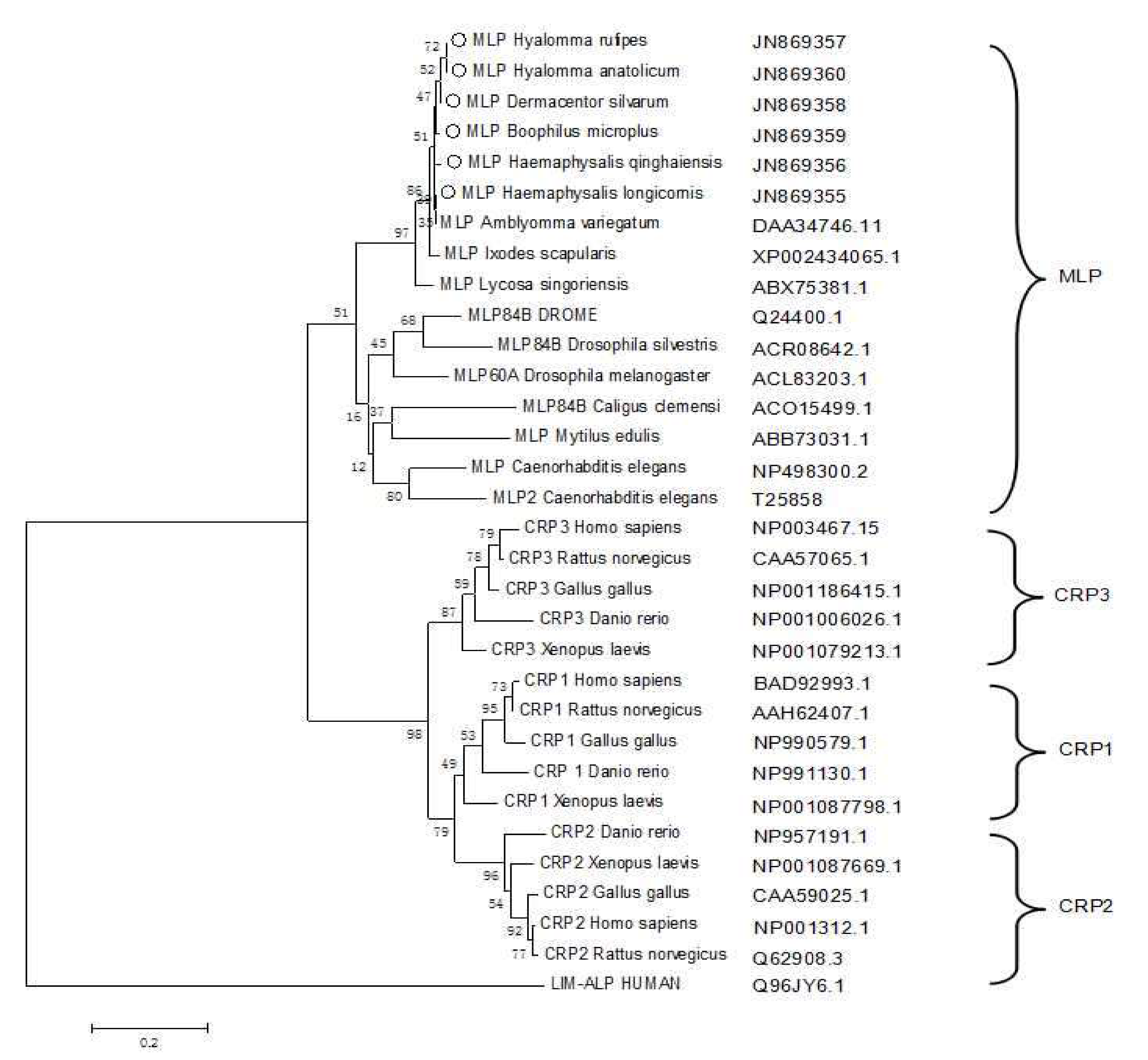 Pathogens 09 00284 g005 Pathogens 09 00284 g005
