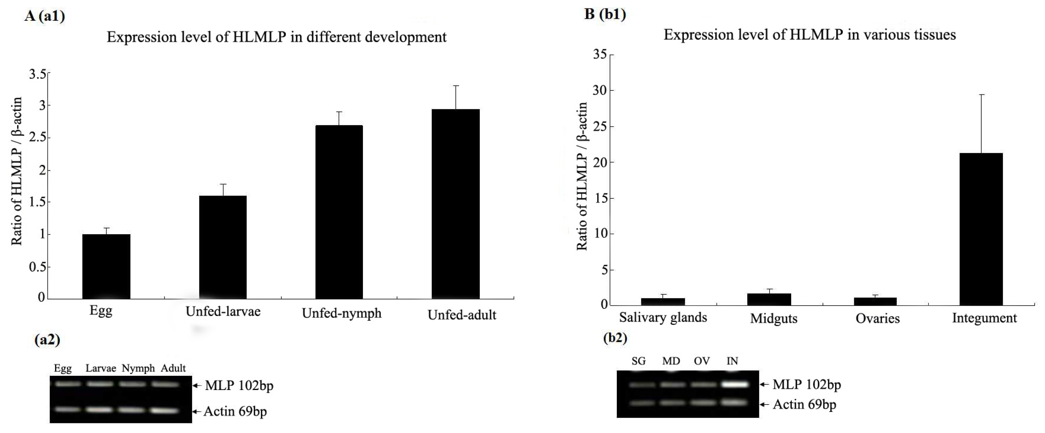 Pathogens 09 00284 g006 Pathogens 09 00284 g006