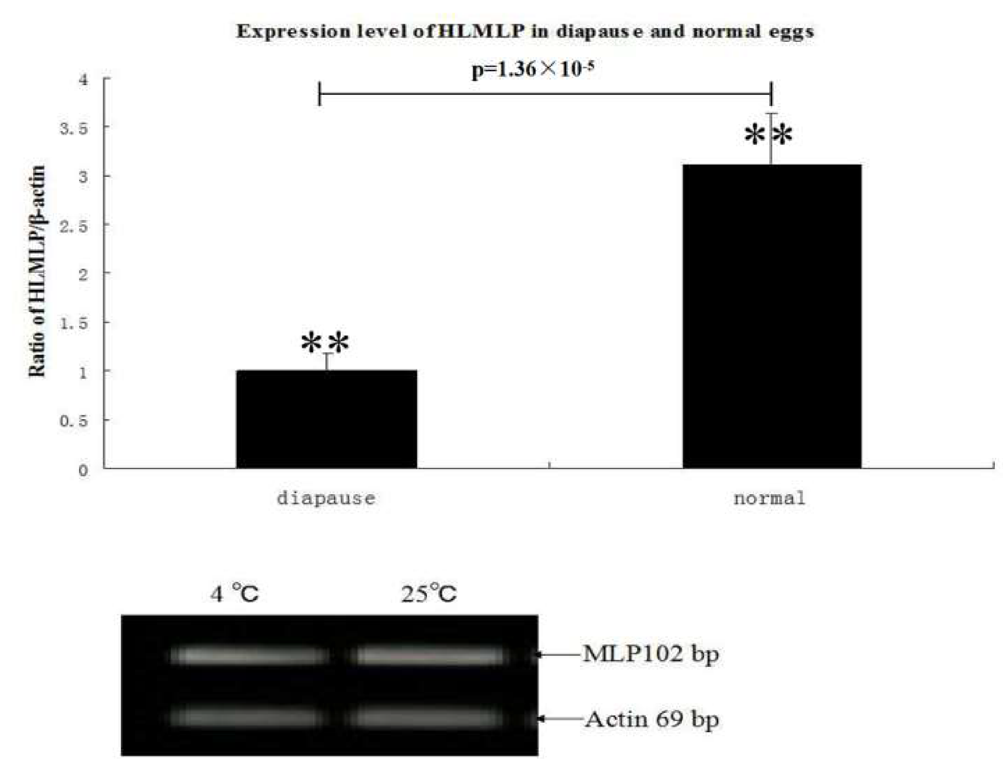 Pathogens 09 00284 g007 Pathogens 09 00284 g007