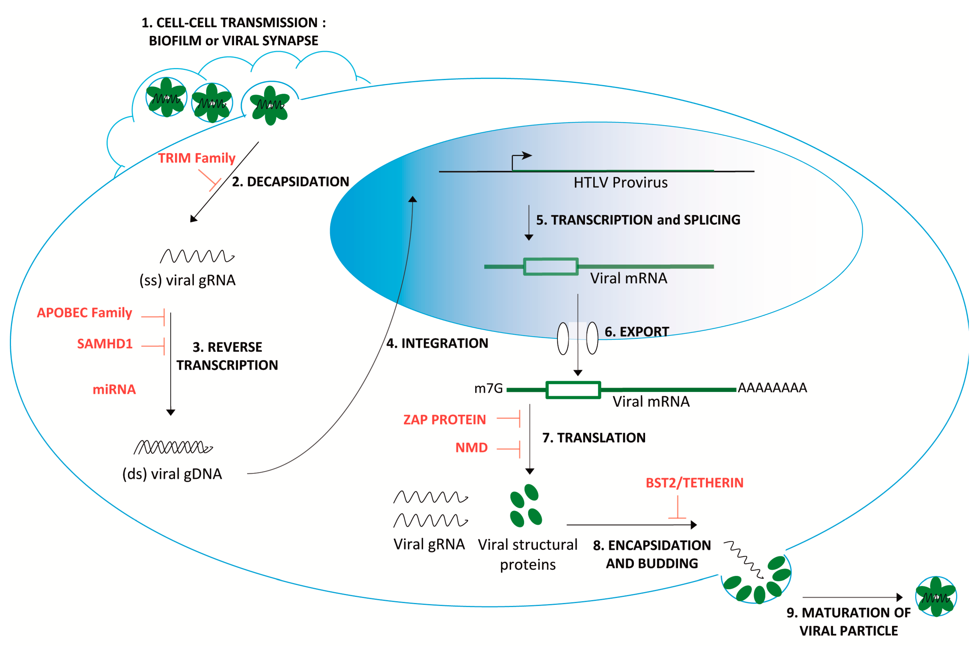 Pathogens 09 00287 g001