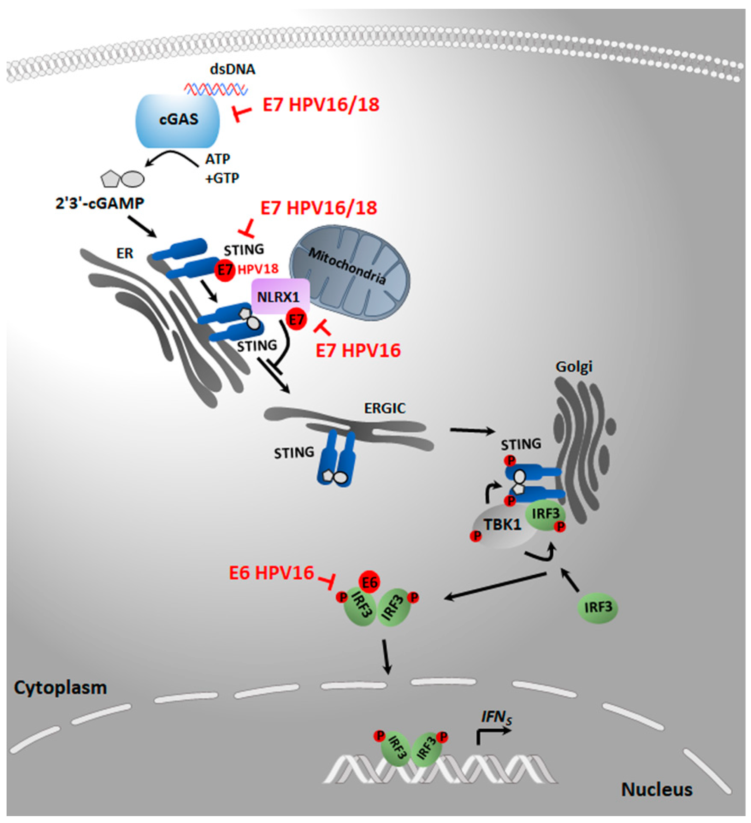 Pathogens 09 00292 g001