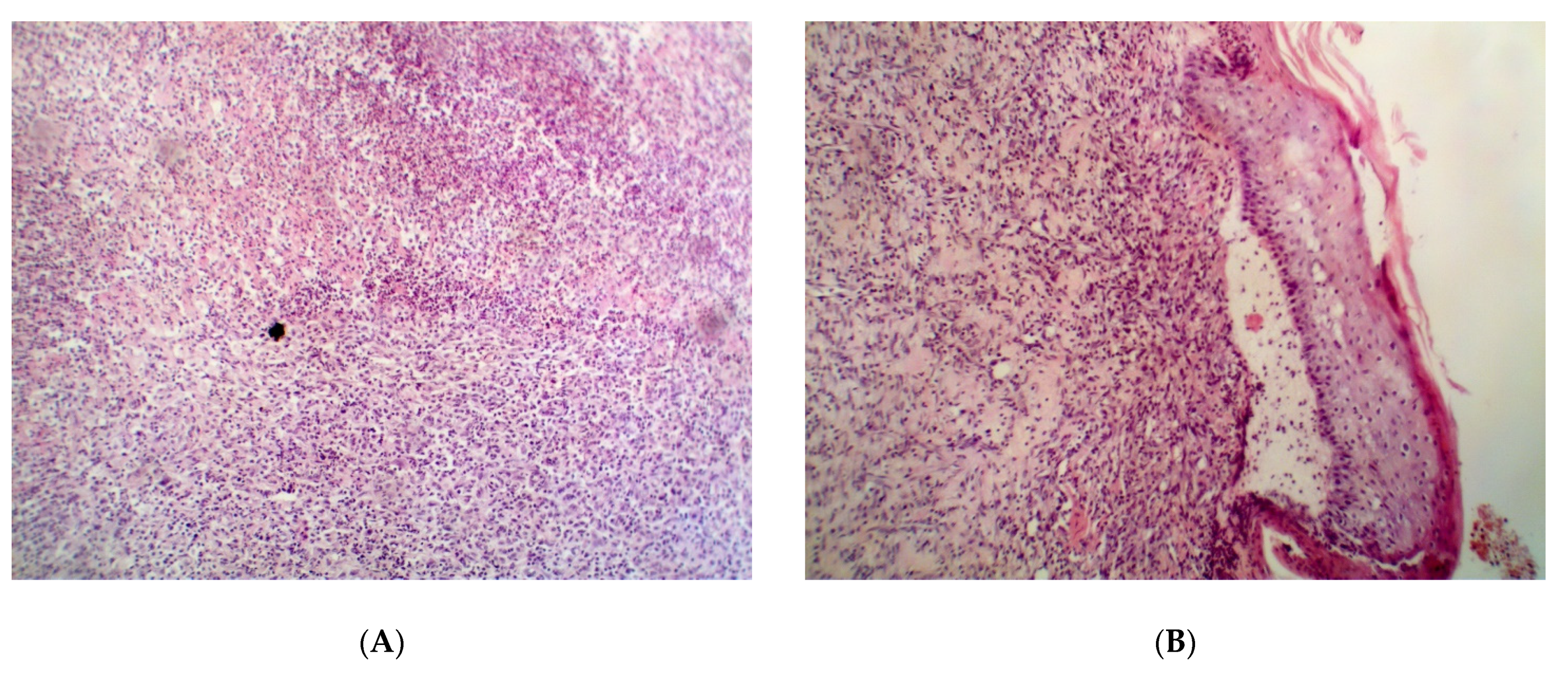 Pathogens 09 00296 g005a