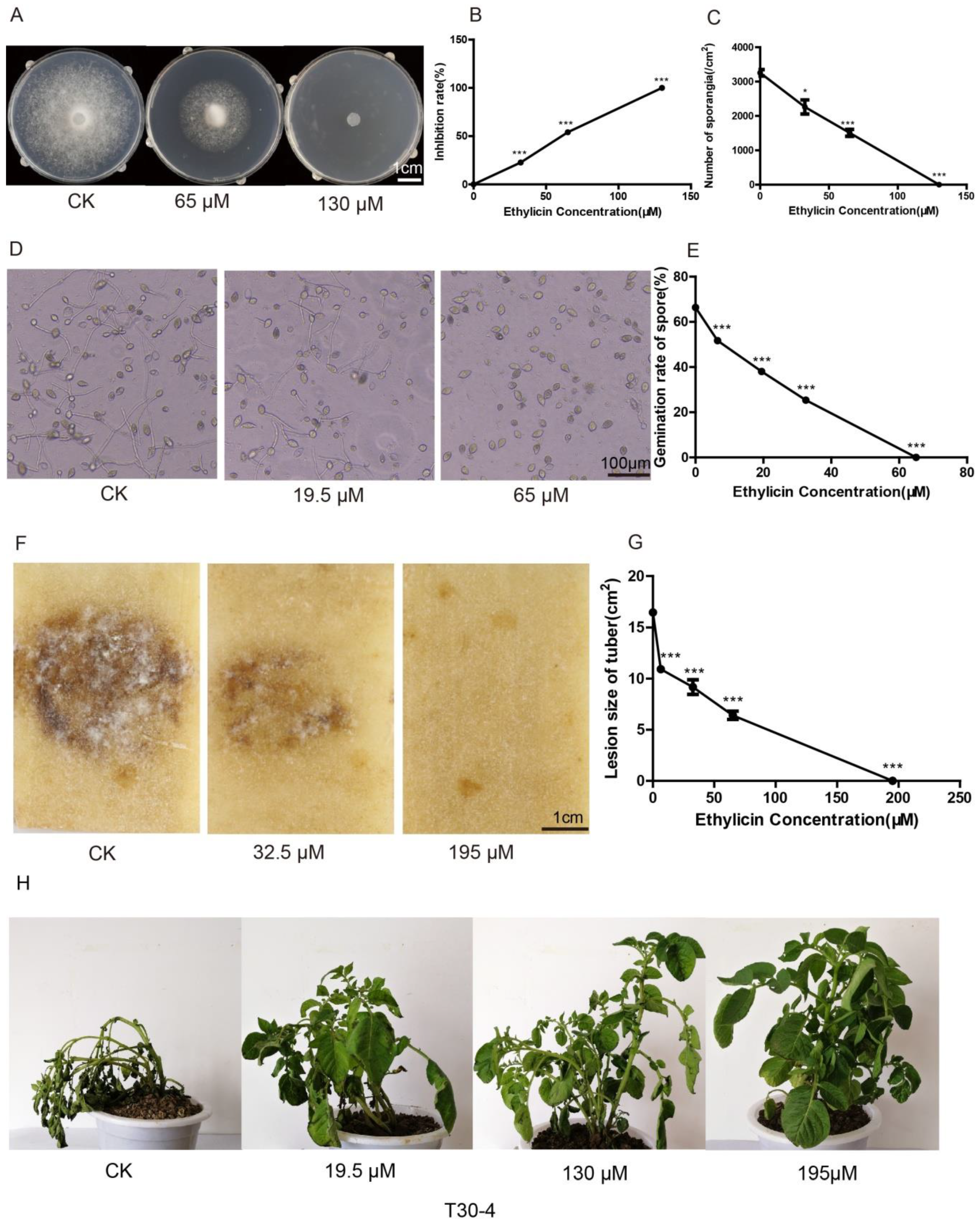 Pathogens 09 00299 g001
