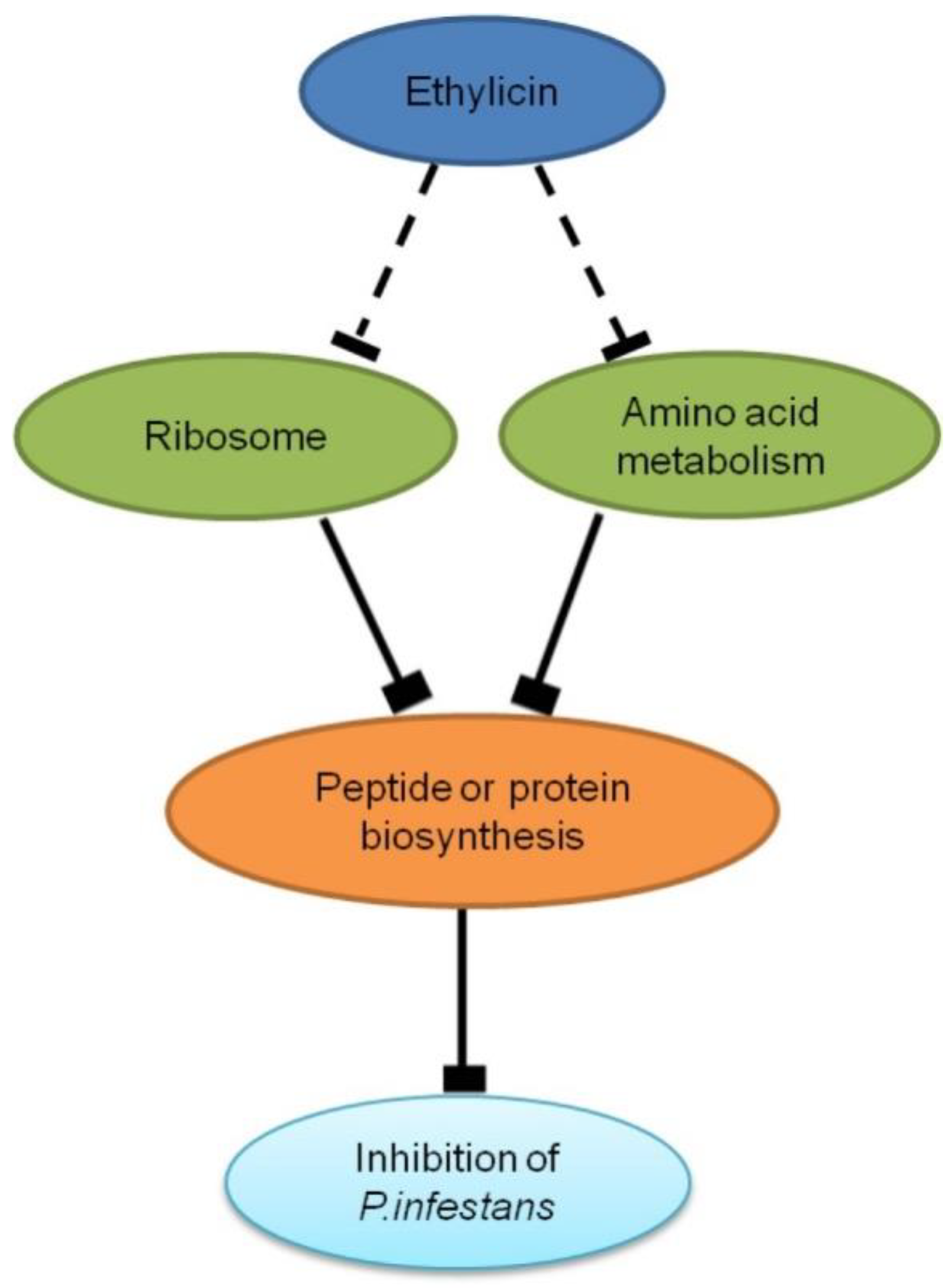 Pathogens 09 00299 g005