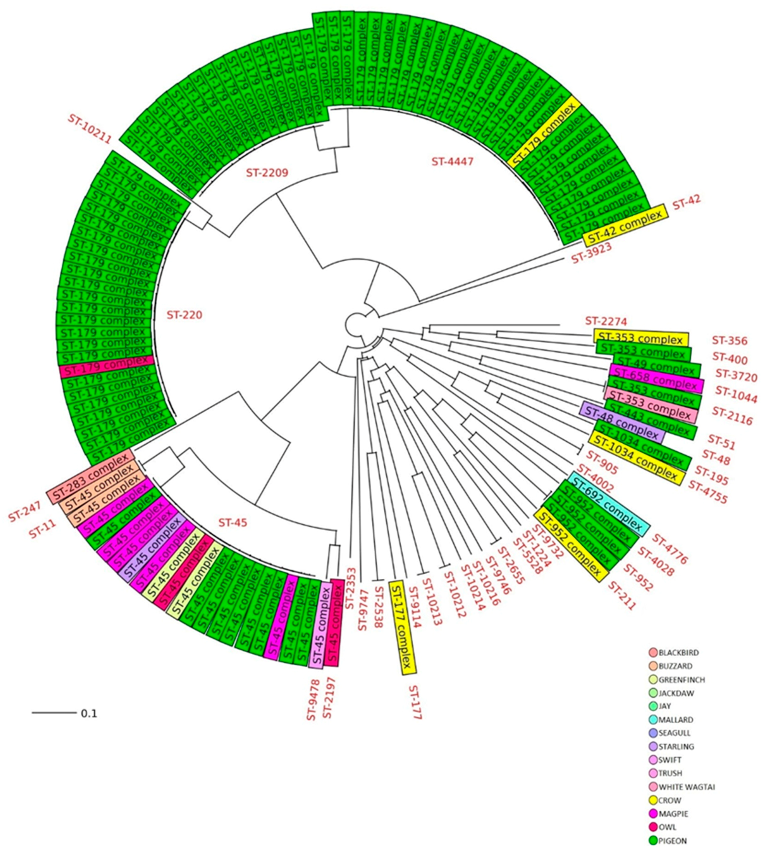 Pathogens 09 00304 g001 Pathogens 09 00304 g001